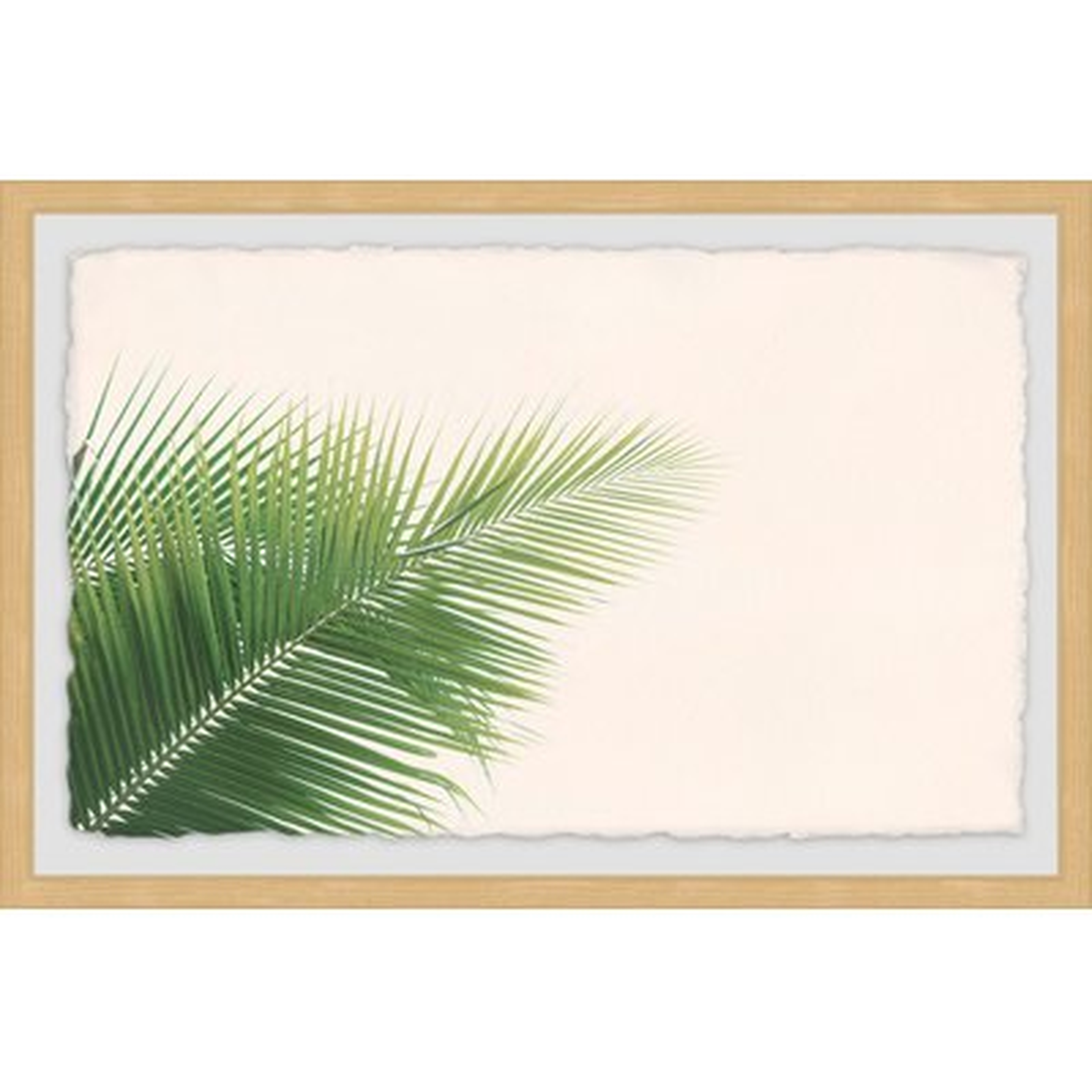 'Palm Angles' Framed Photographic Print - Wayfair