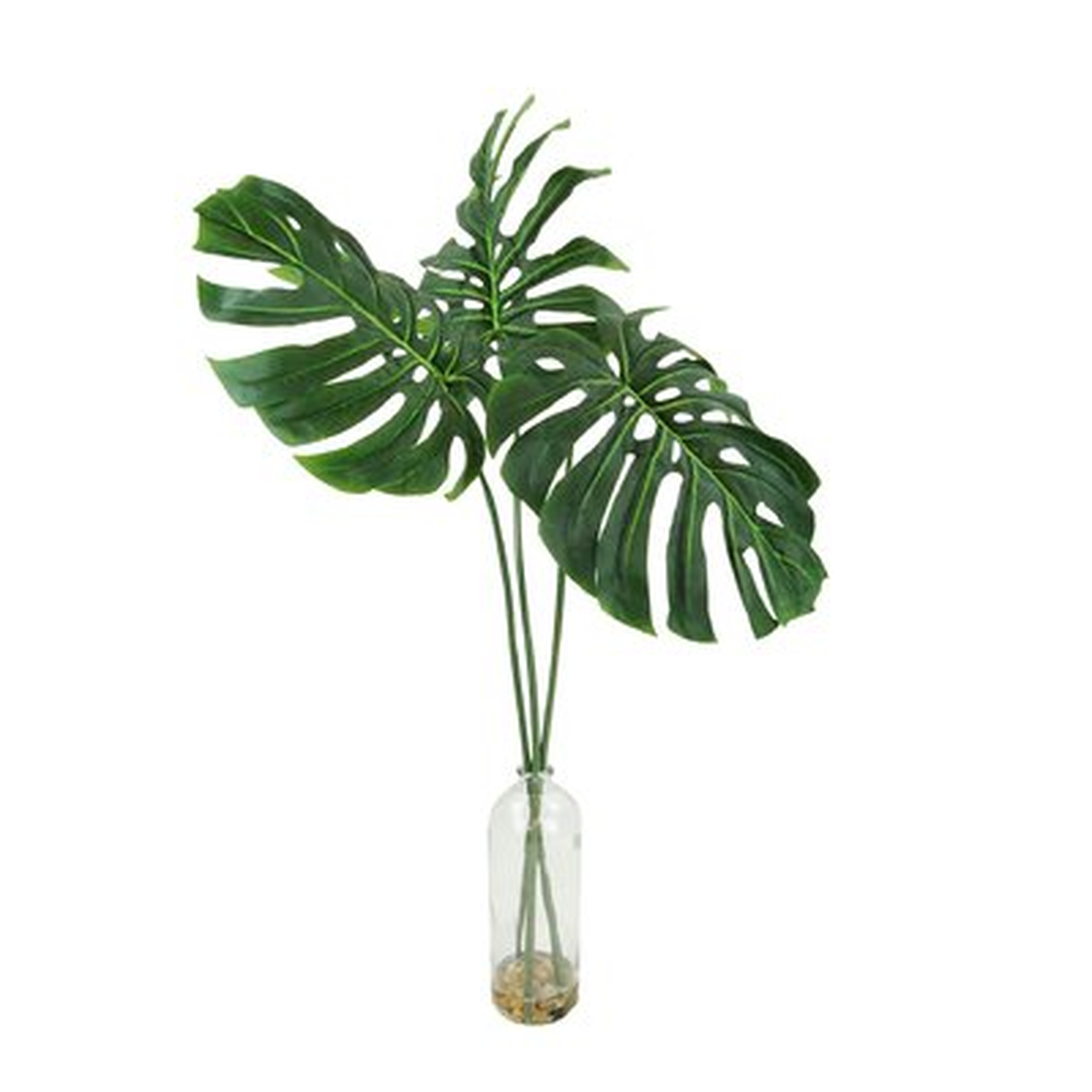 Philodendron Leaf's Plant in Decorative Vase - Wayfair
