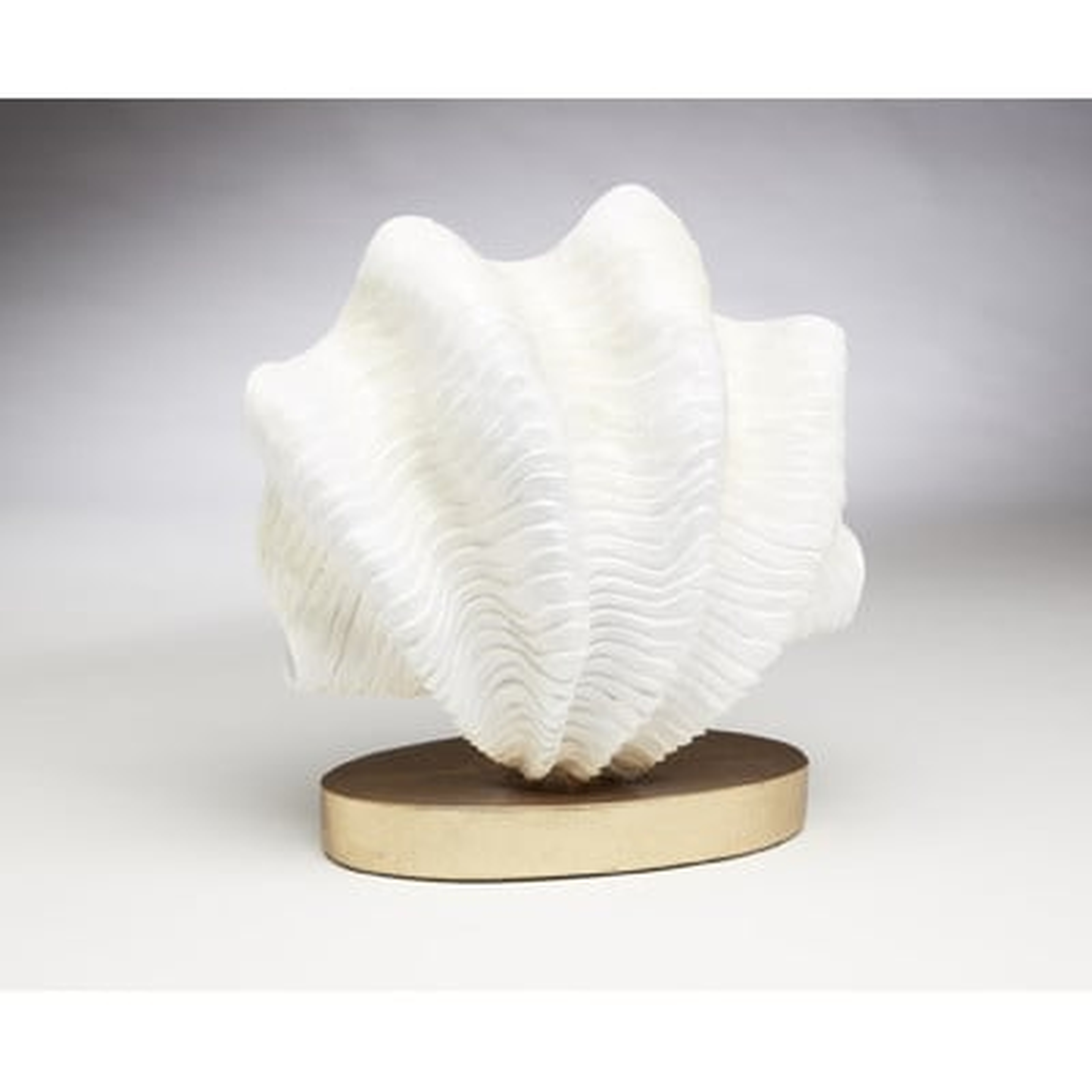 Shell on Base Figurine - Wayfair
