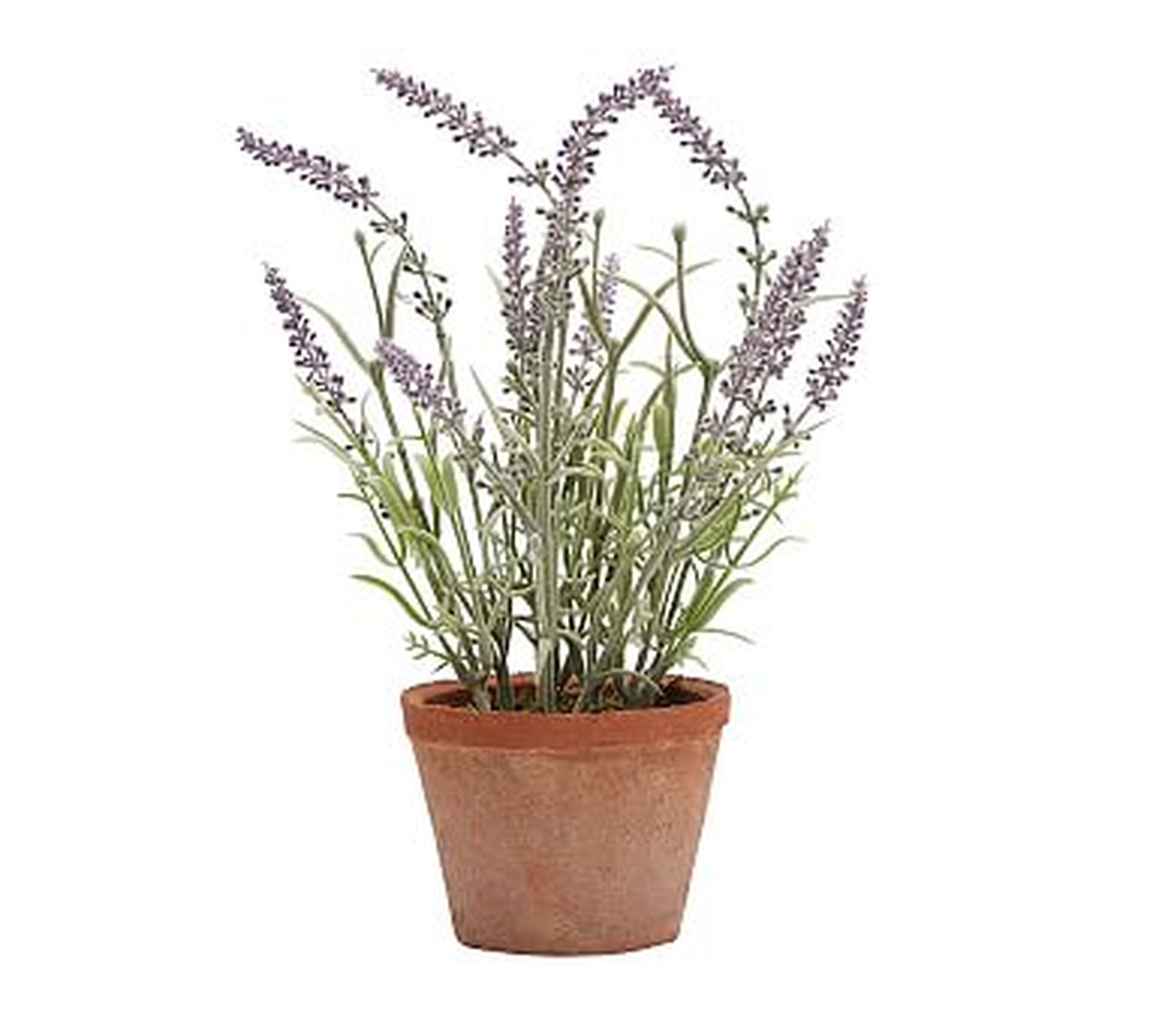 Faux Potted Lavender - Small - Pottery Barn