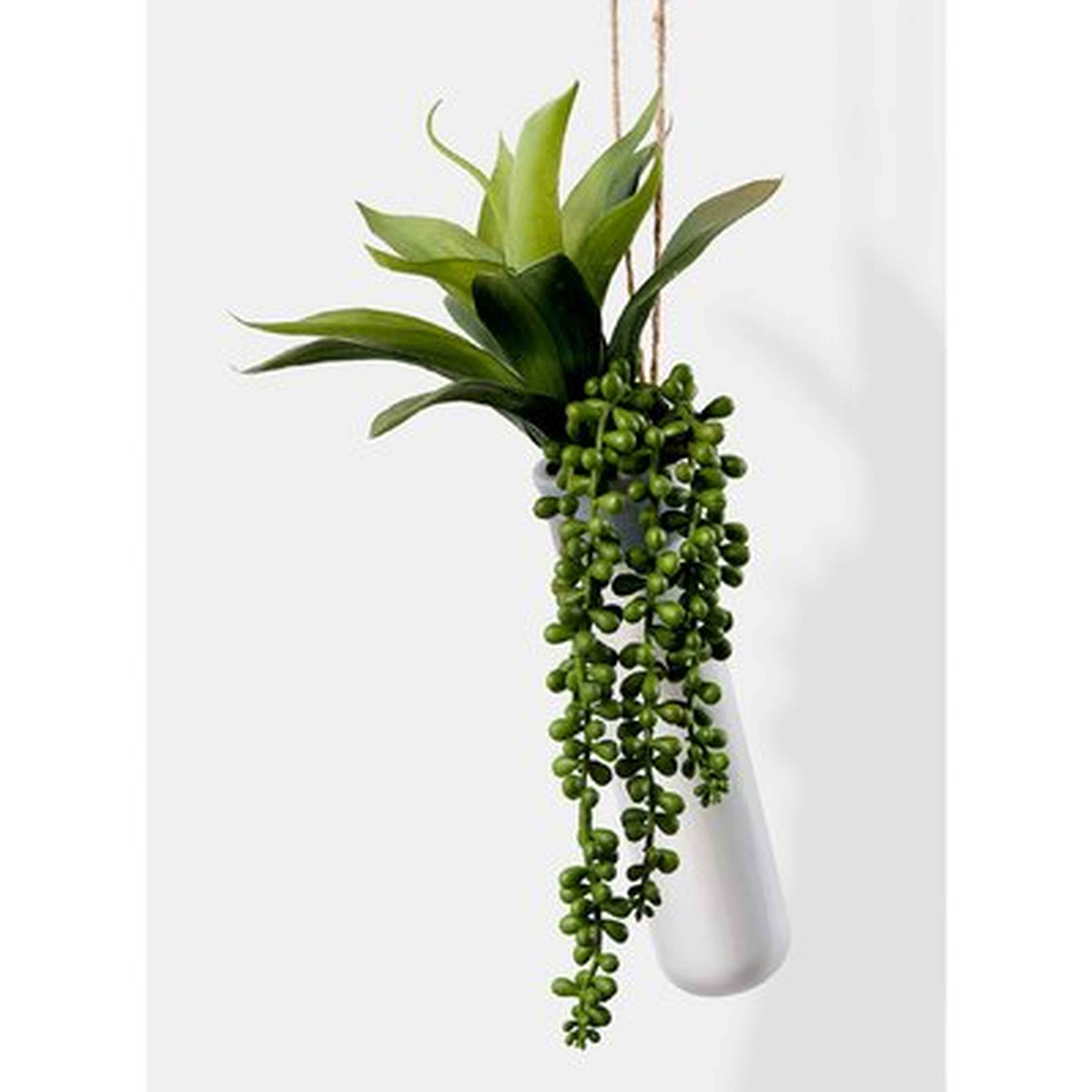 Hanging Succulent Plant in Ceramic Planter - Wayfair