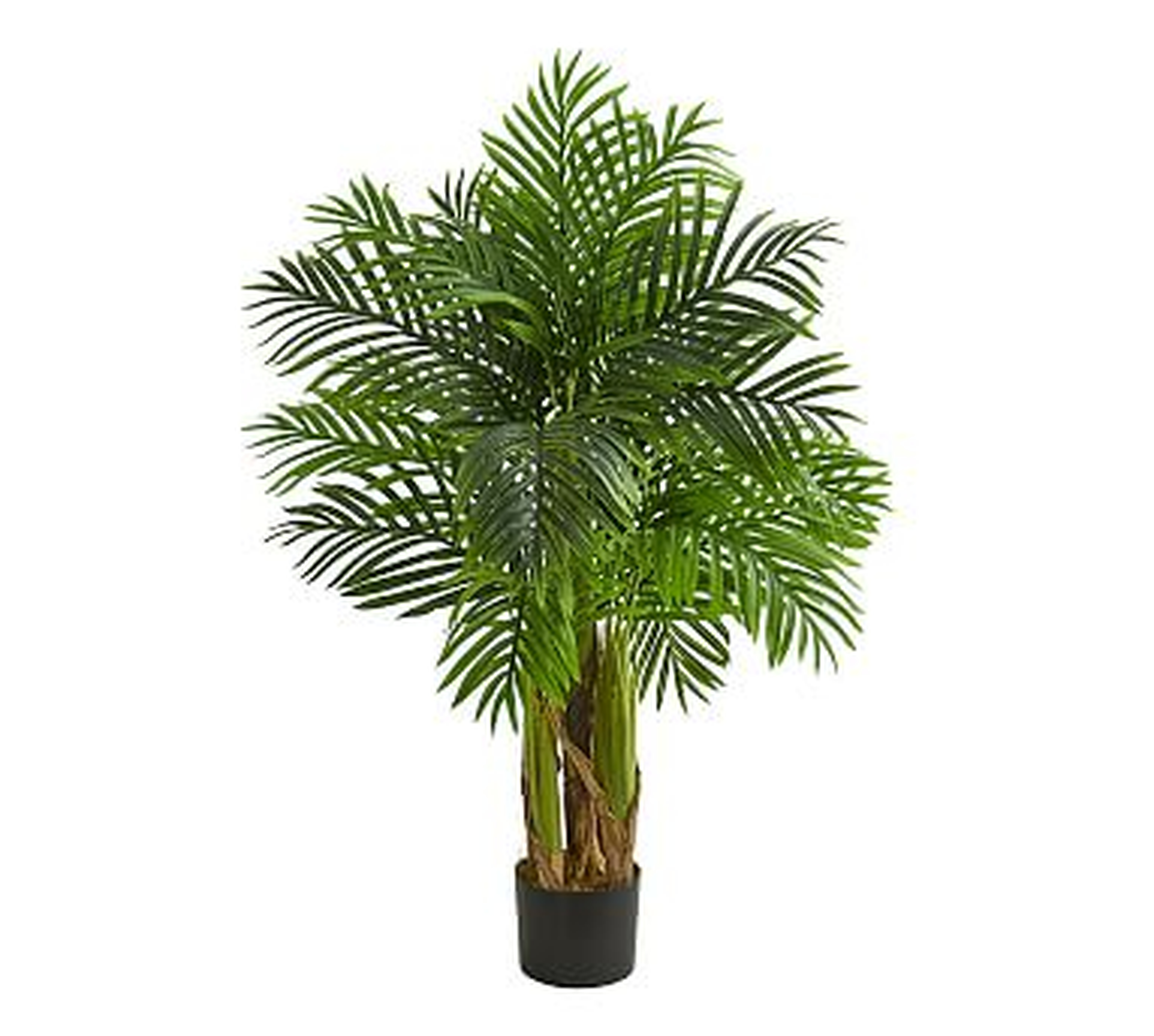 Kentia Faux Palm Tree, 4' - Pottery Barn