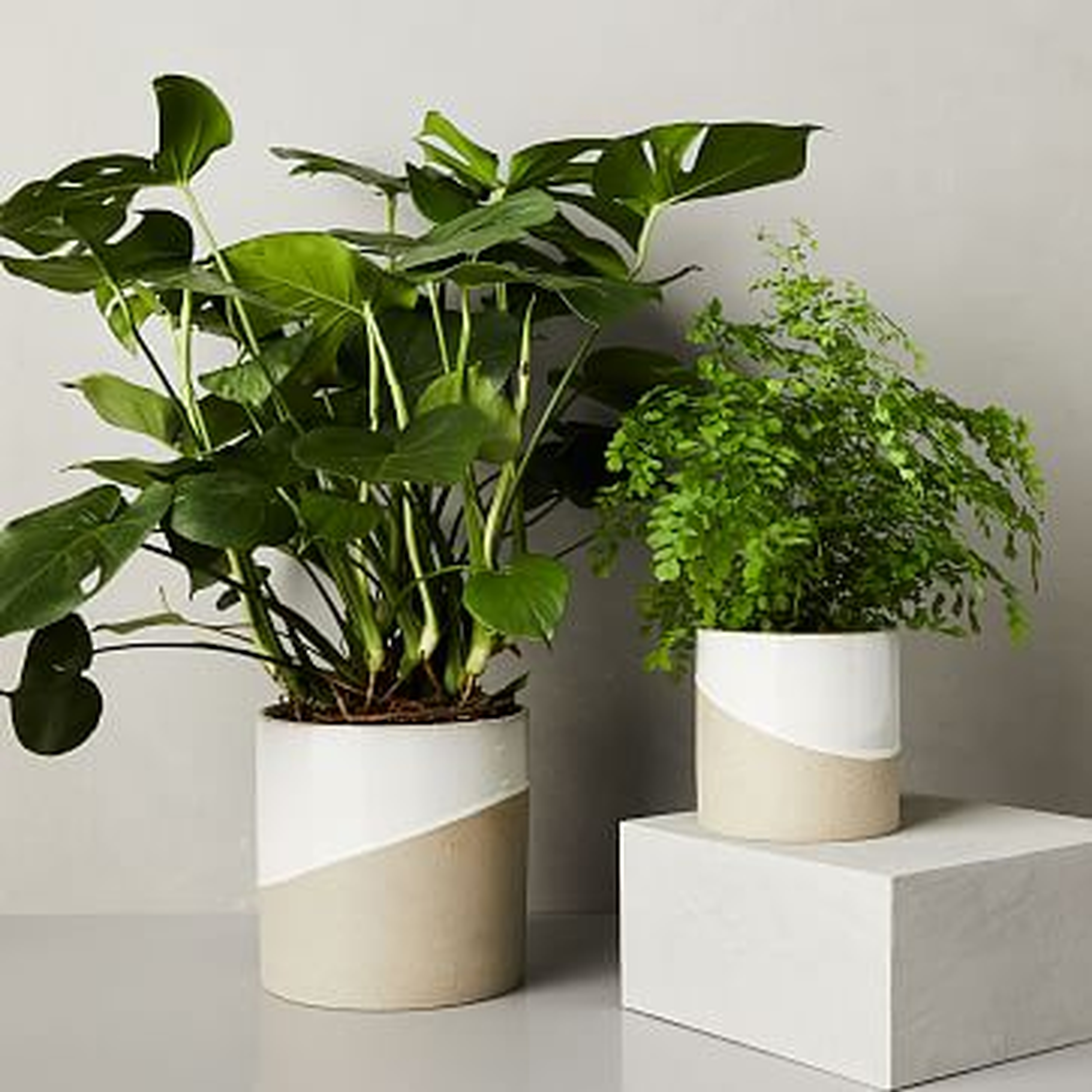 Half-Dipped Planter, Grey, Small - West Elm