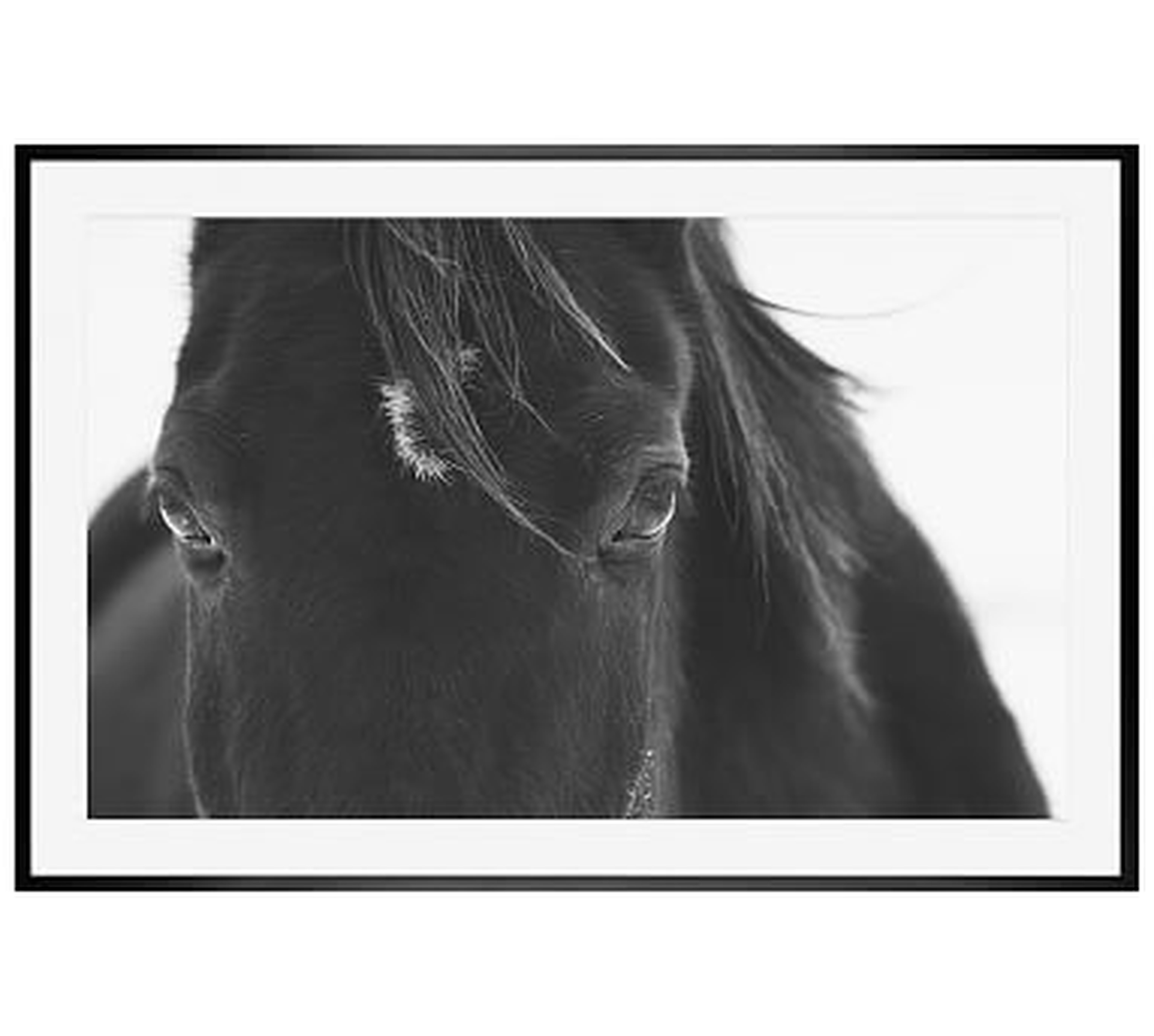 Black Horse Portrait Framed Print by Jennifer Meyers, 28 x 42 Wood Gallery, Black, Mat - Pottery Barn