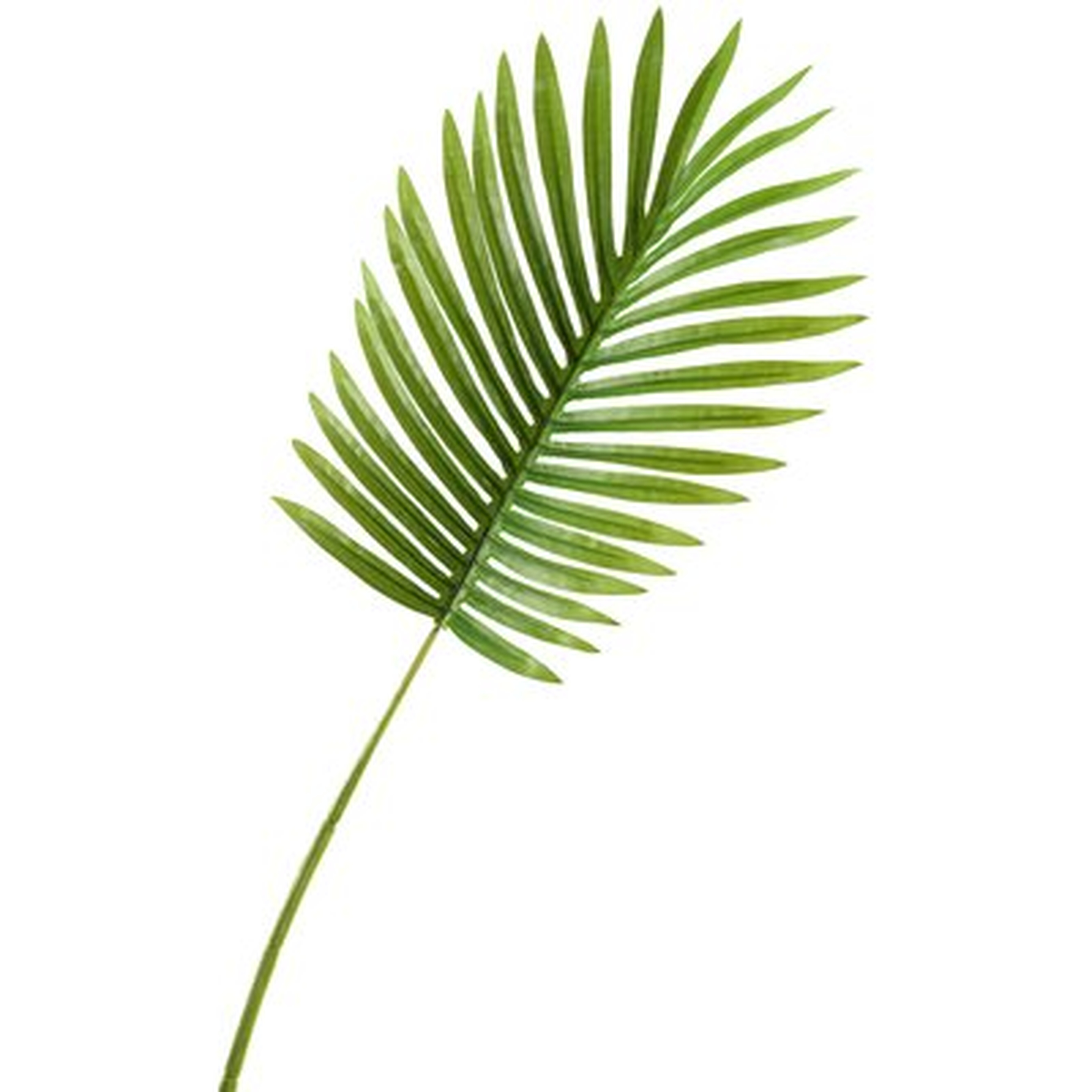Small Hawaiian Palm Leaf Stem (Set of 3) - Wayfair