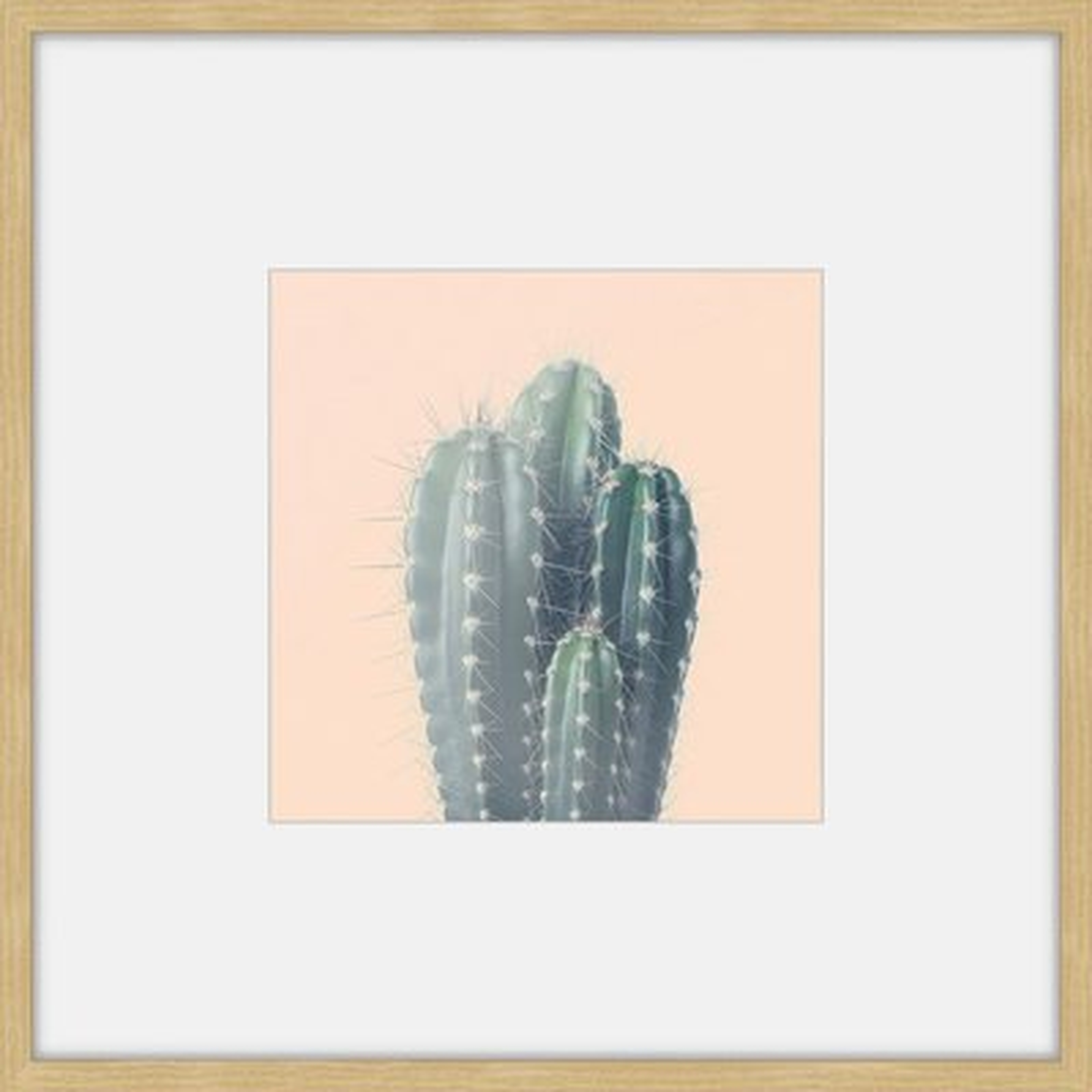 'Green Cacti' Framed Photographic Print - Wayfair