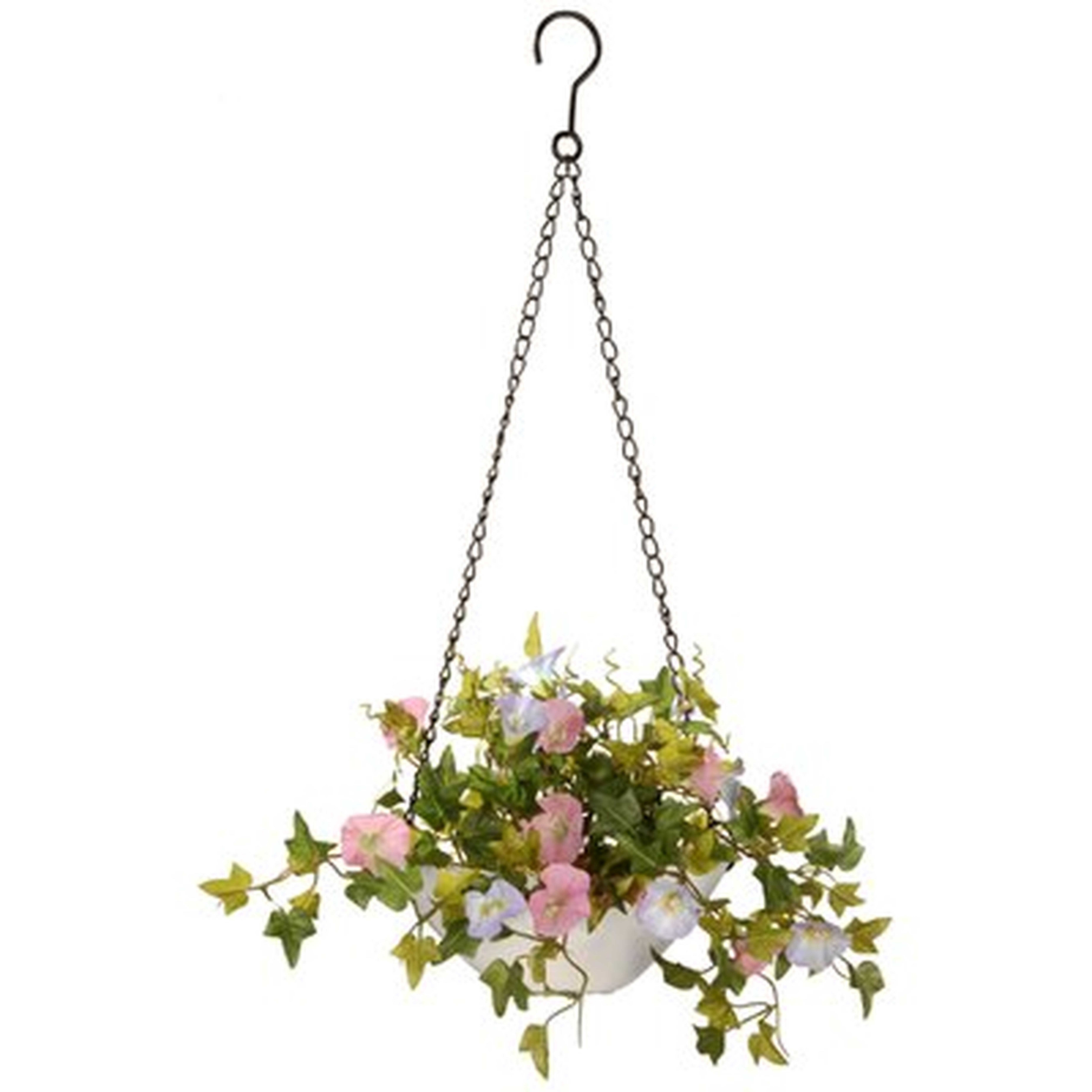 Hanging Flowering Plant in Basket - Wayfair