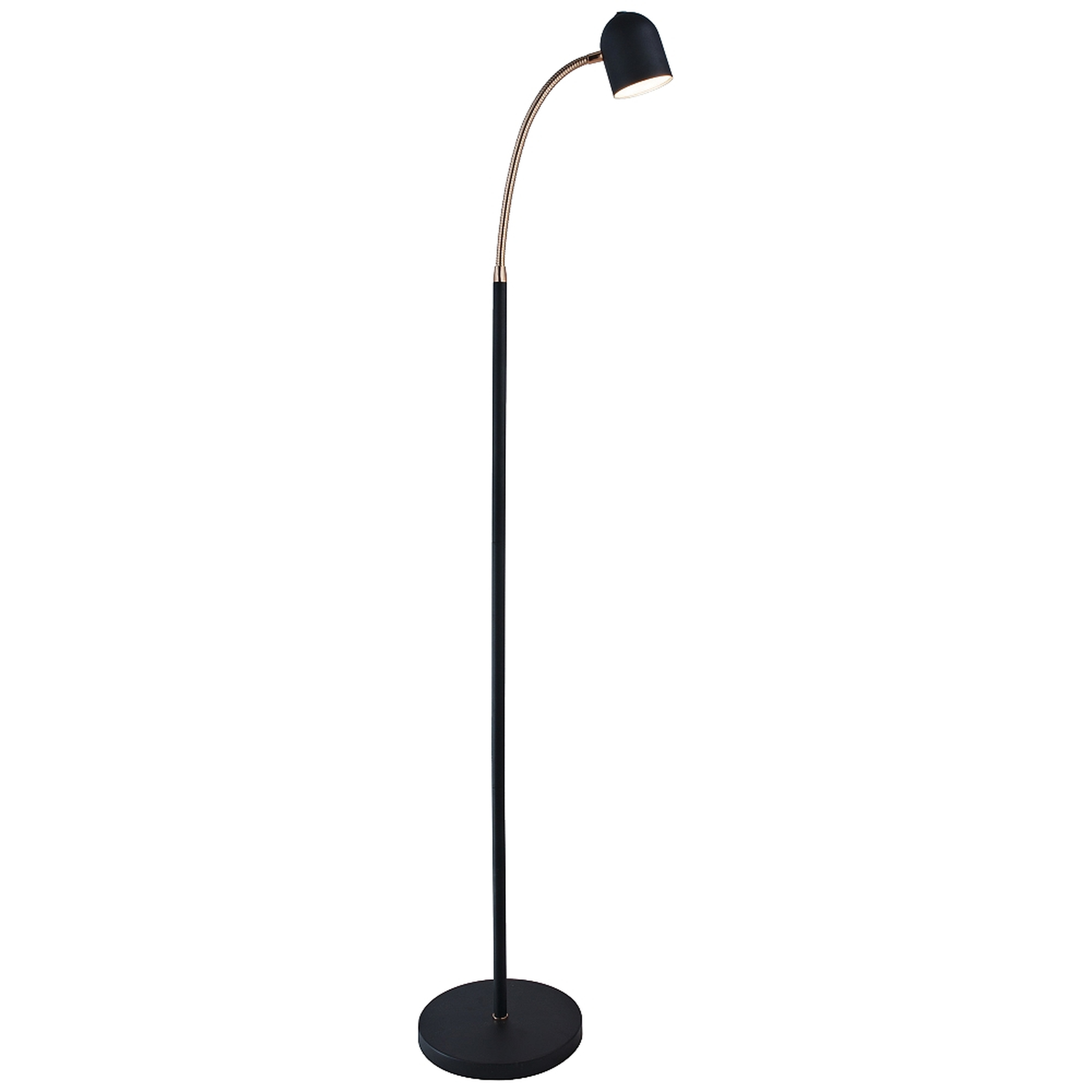 Lite Source Tiara Black LED Gooseneck Floor Lamp - Style # 69F98 - Lamps Plus
