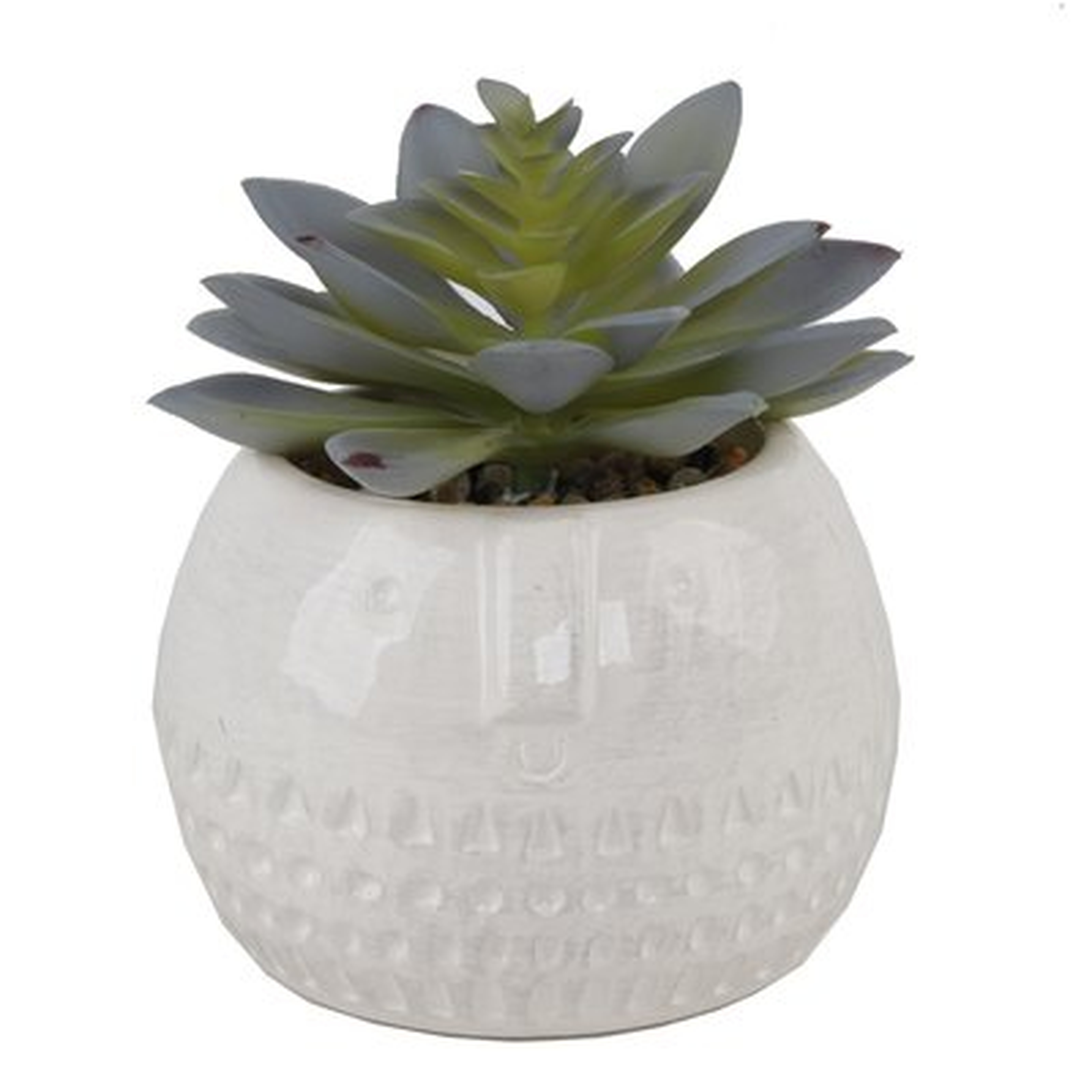 Round Ceramic Desktop Succulent Plant in Pot - Wayfair