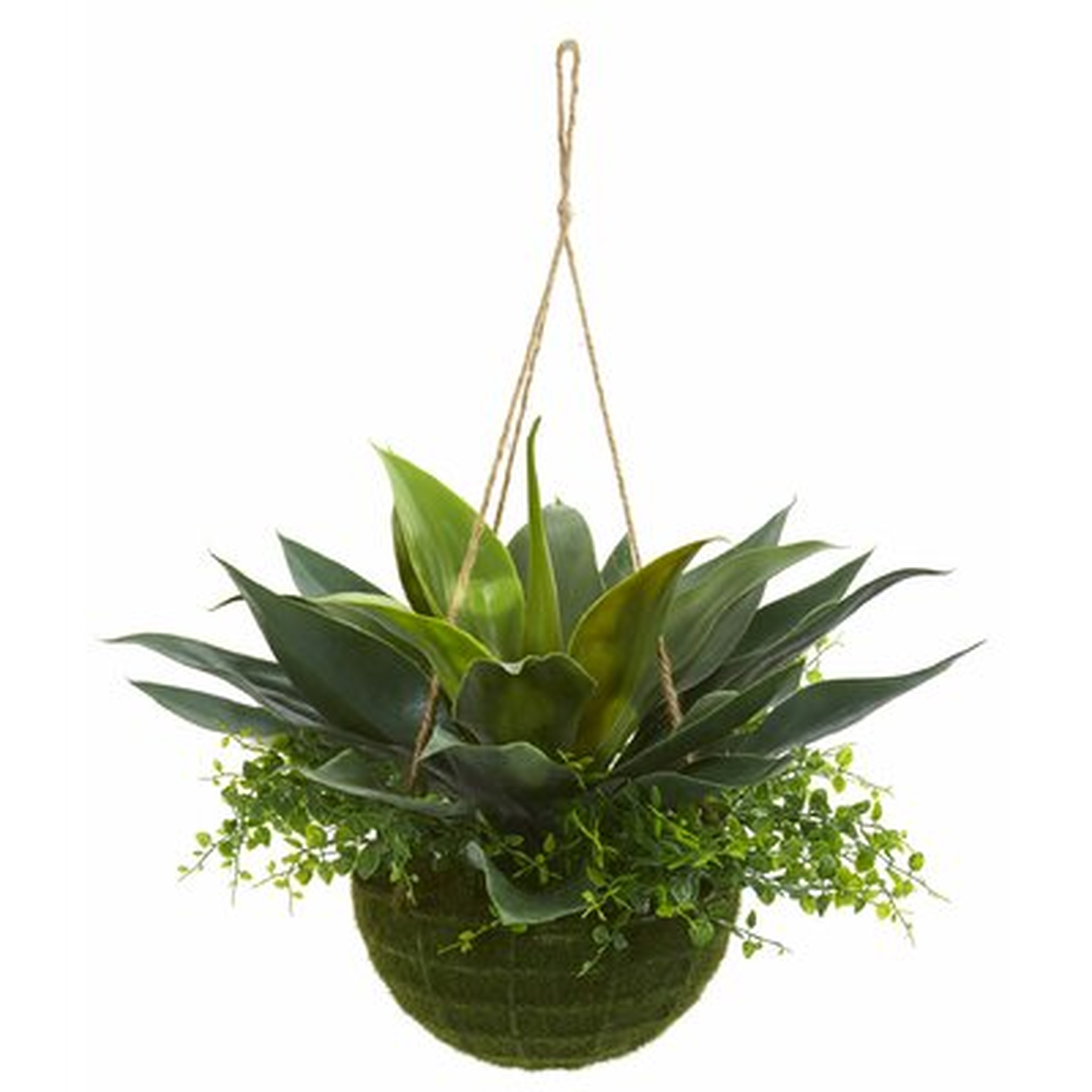 Artificial Agave and Maiden Hair Foliage Plant in Planter - Wayfair