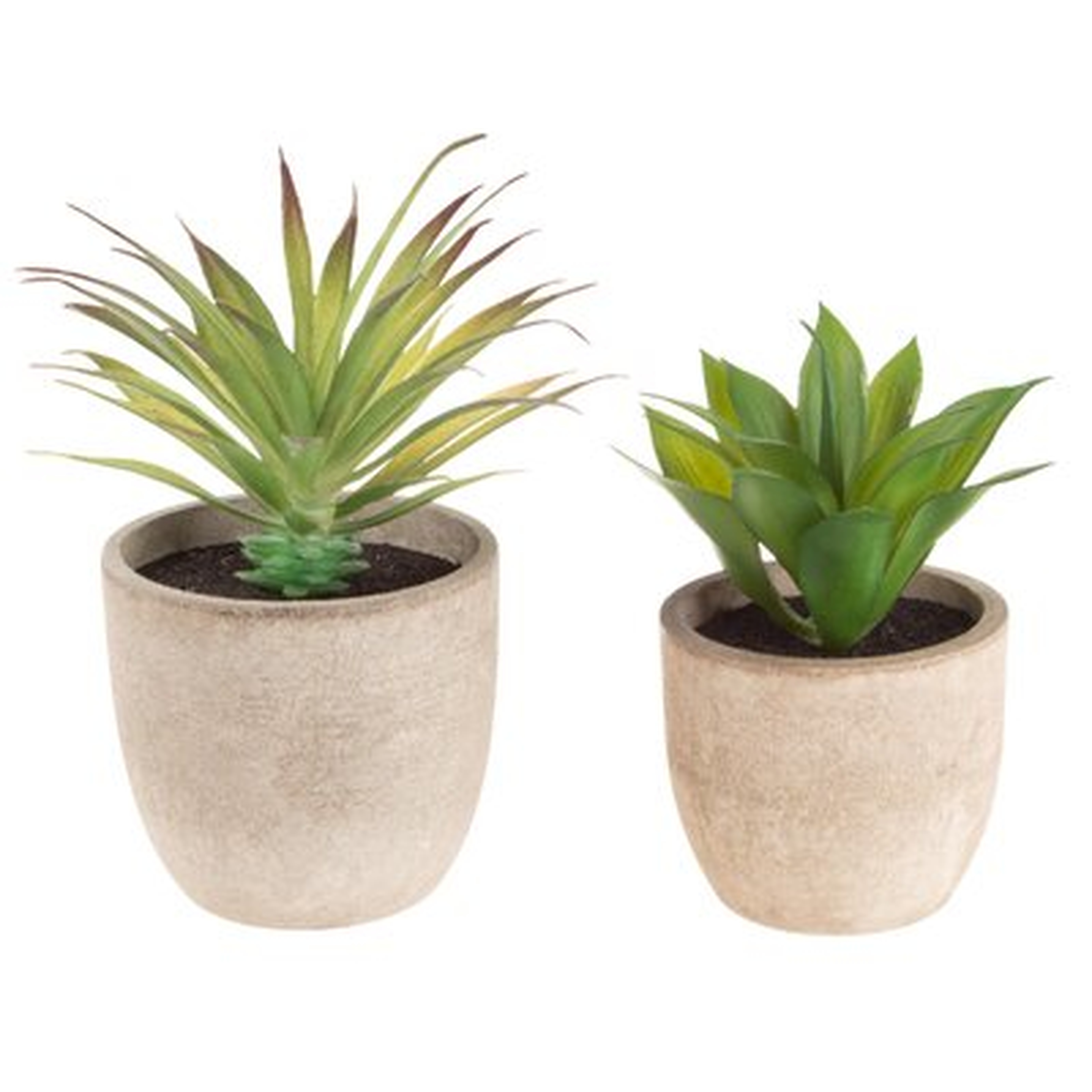 2 Set Faux Aloe Plant Arrangements - Wayfair
