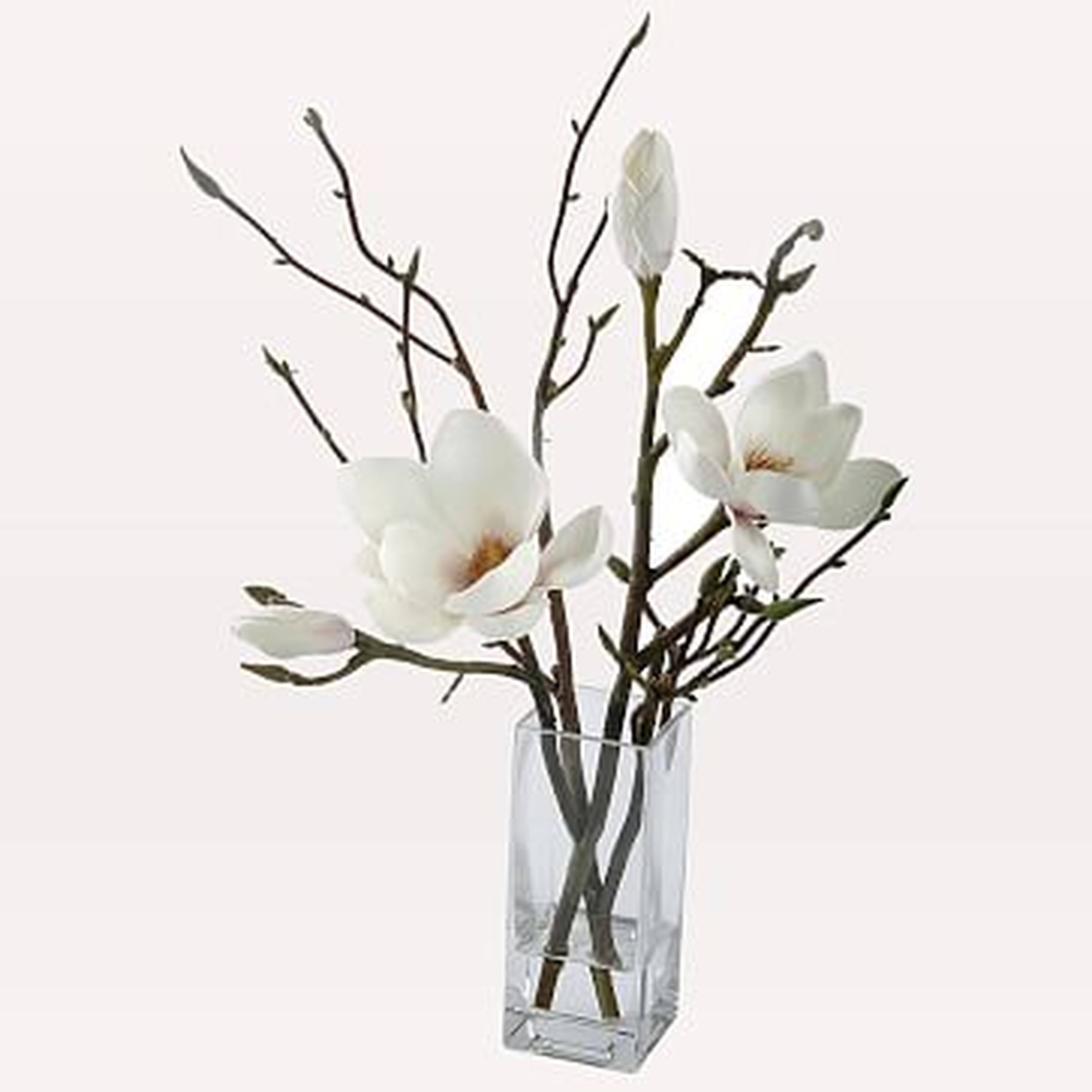 Faux Magnolia in Rectangle Vase, White - West Elm