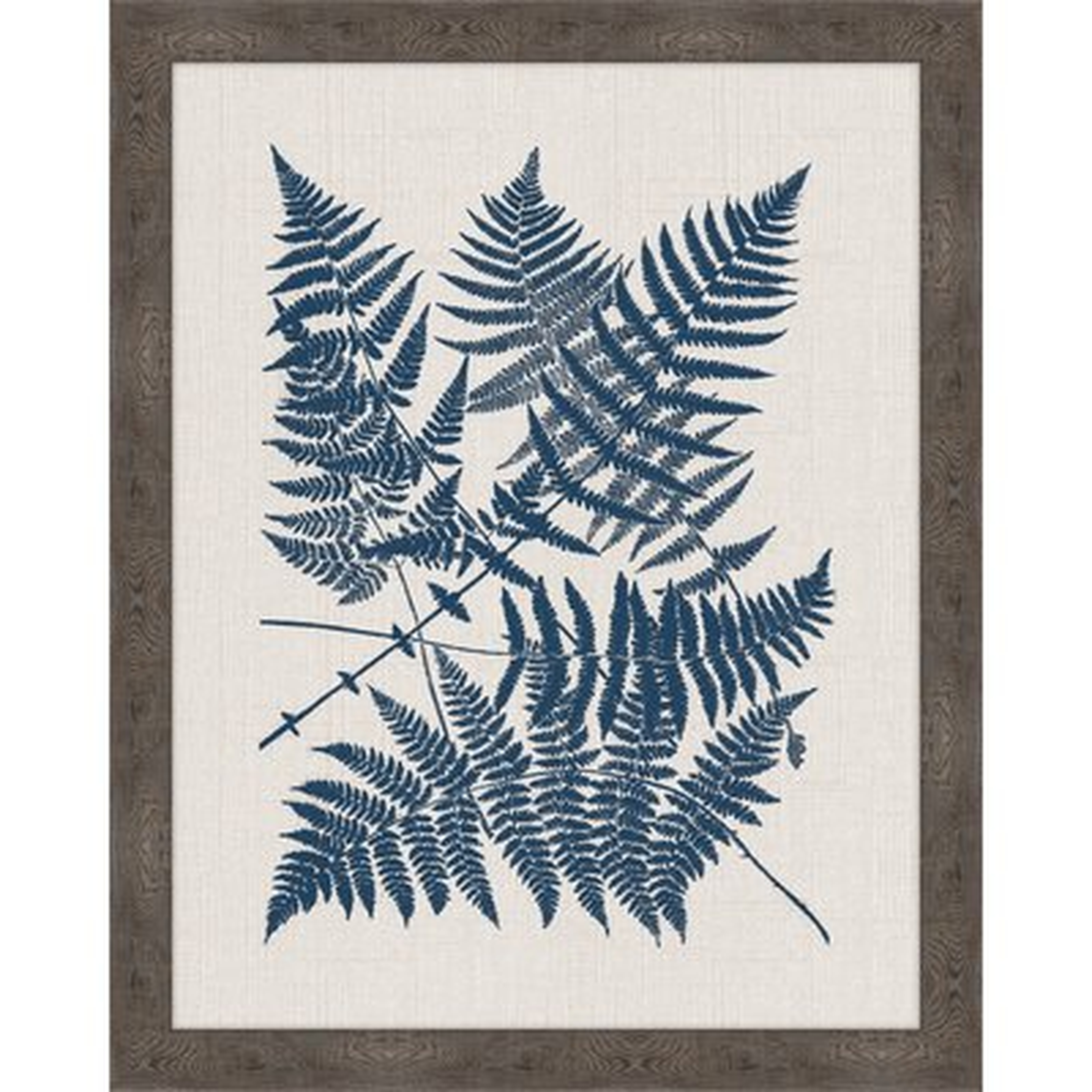 Polypodies Ferns' Framed Graphic Art Print - Wayfair