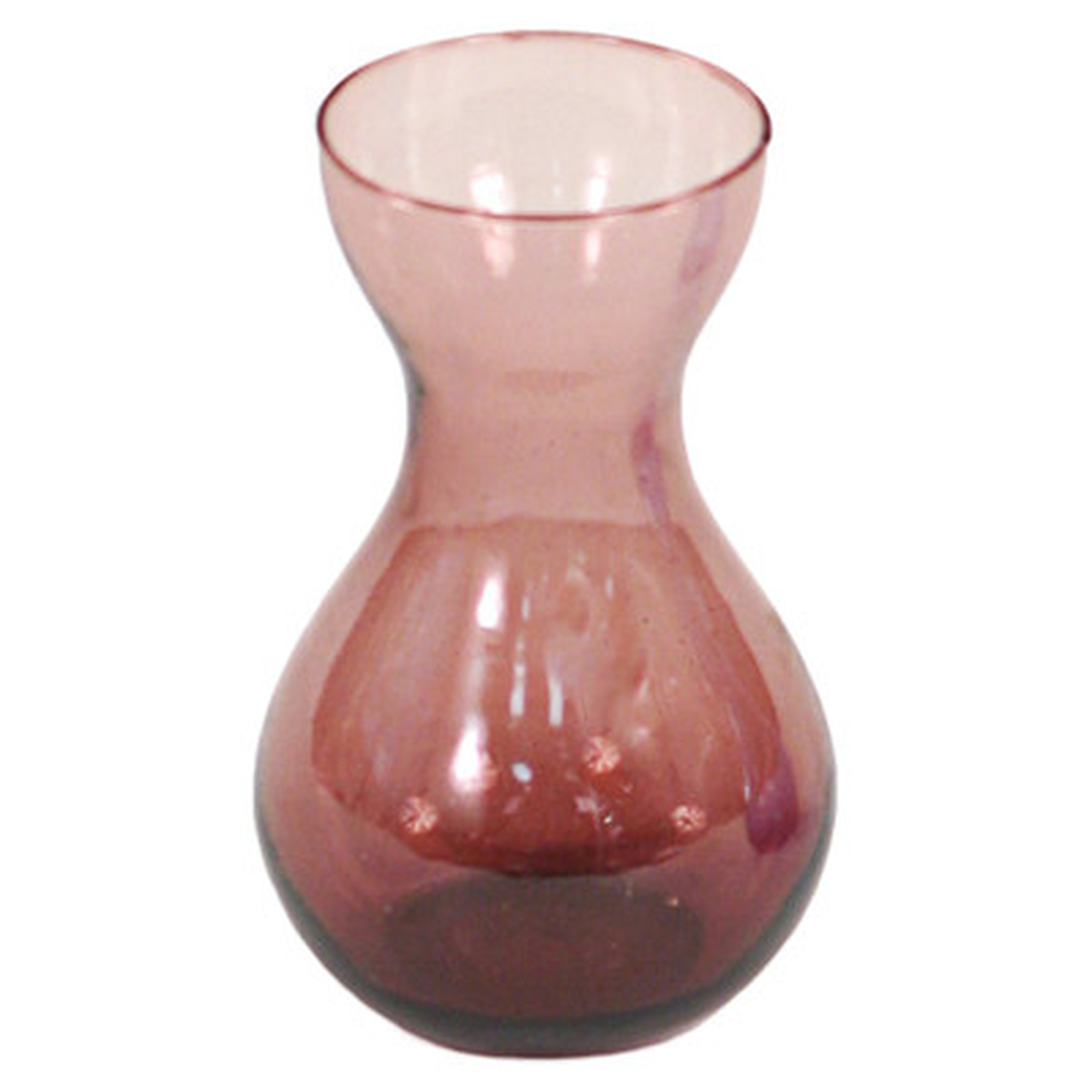 Decor Accessories Bulb Forcer Vase - Wayfair