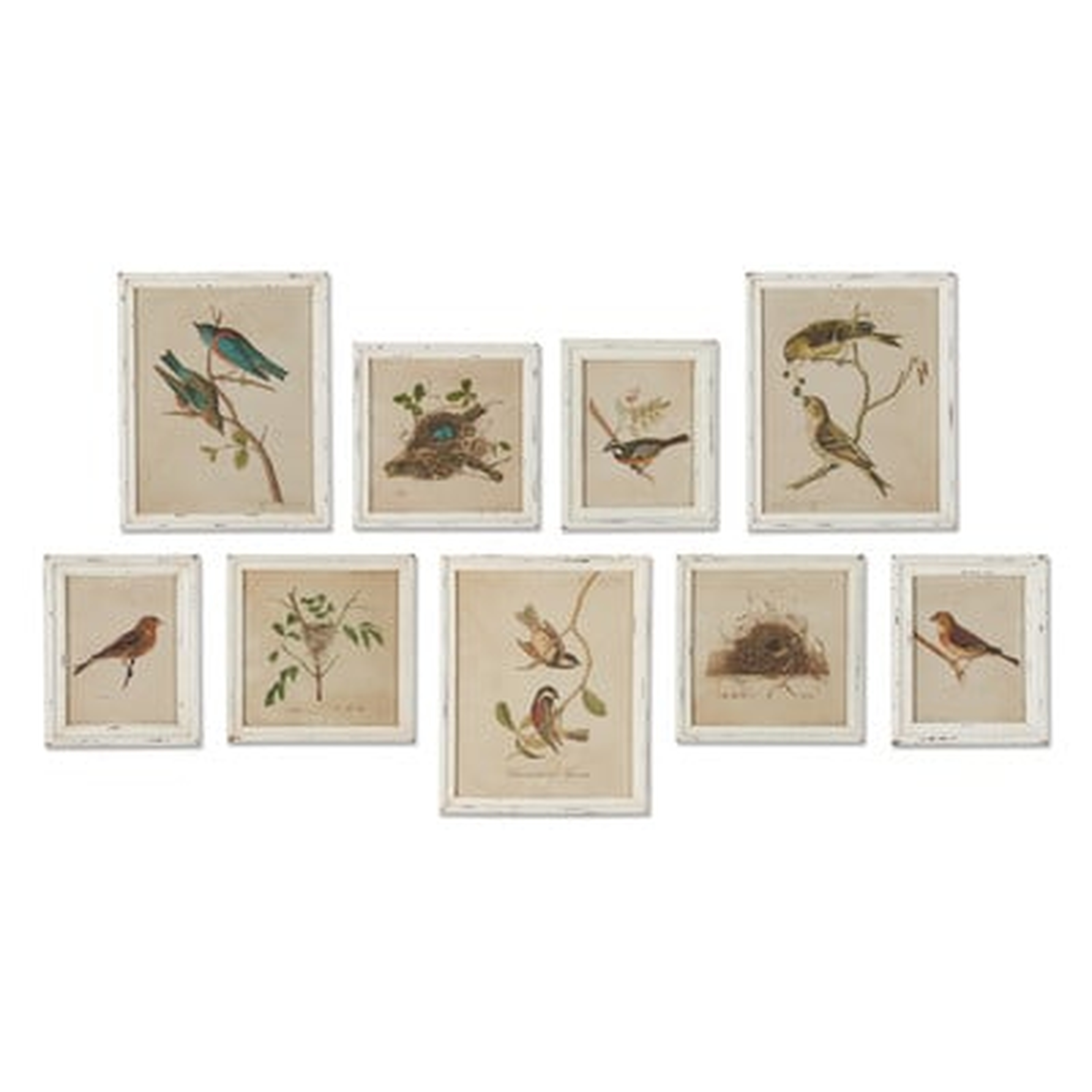 'Aviary Bird & Nest Habitat' Picture Frame Print Set - Birch Lane