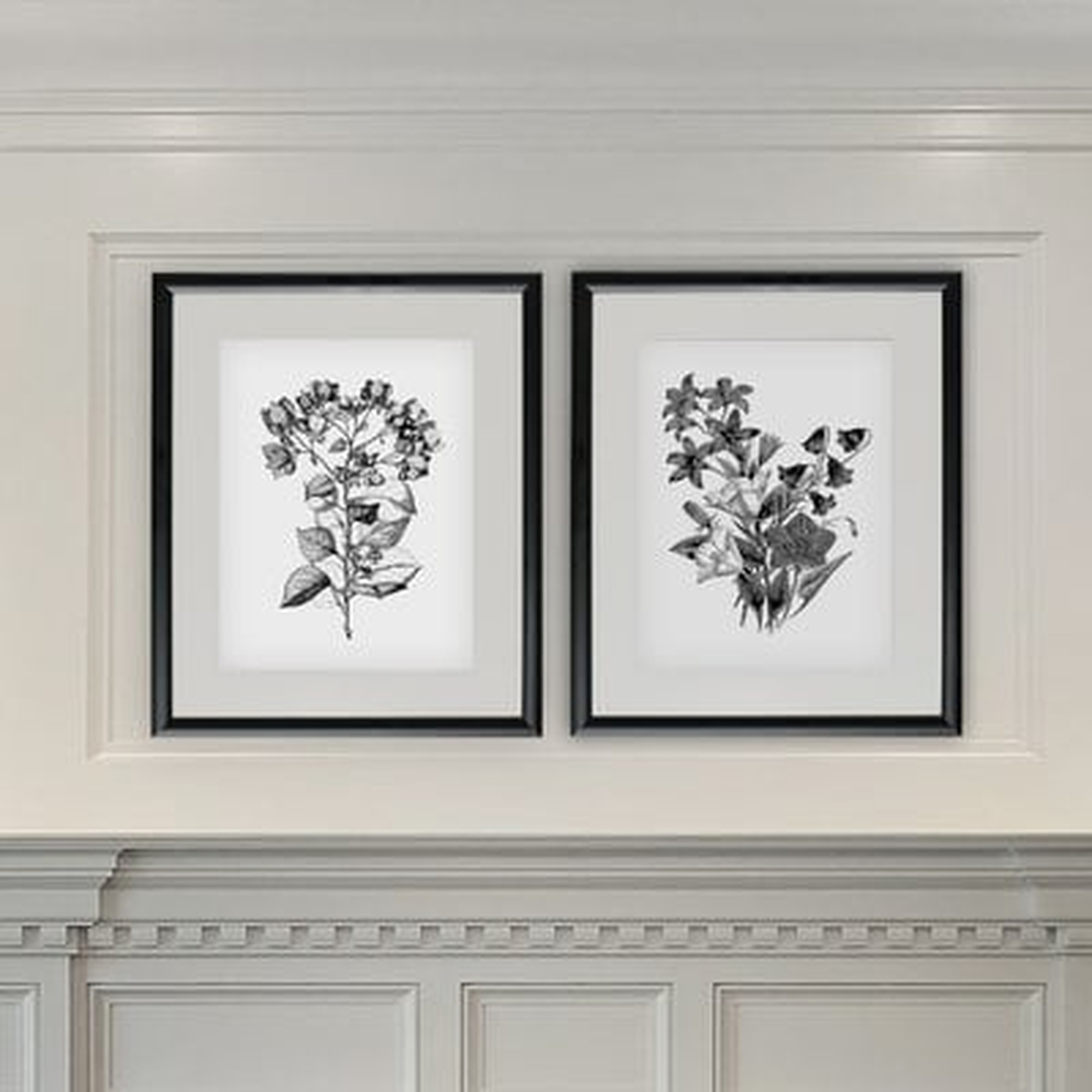 'Botanical Black and White' 2 Piece Framed Acrylic Painting Print Set - Wayfair
