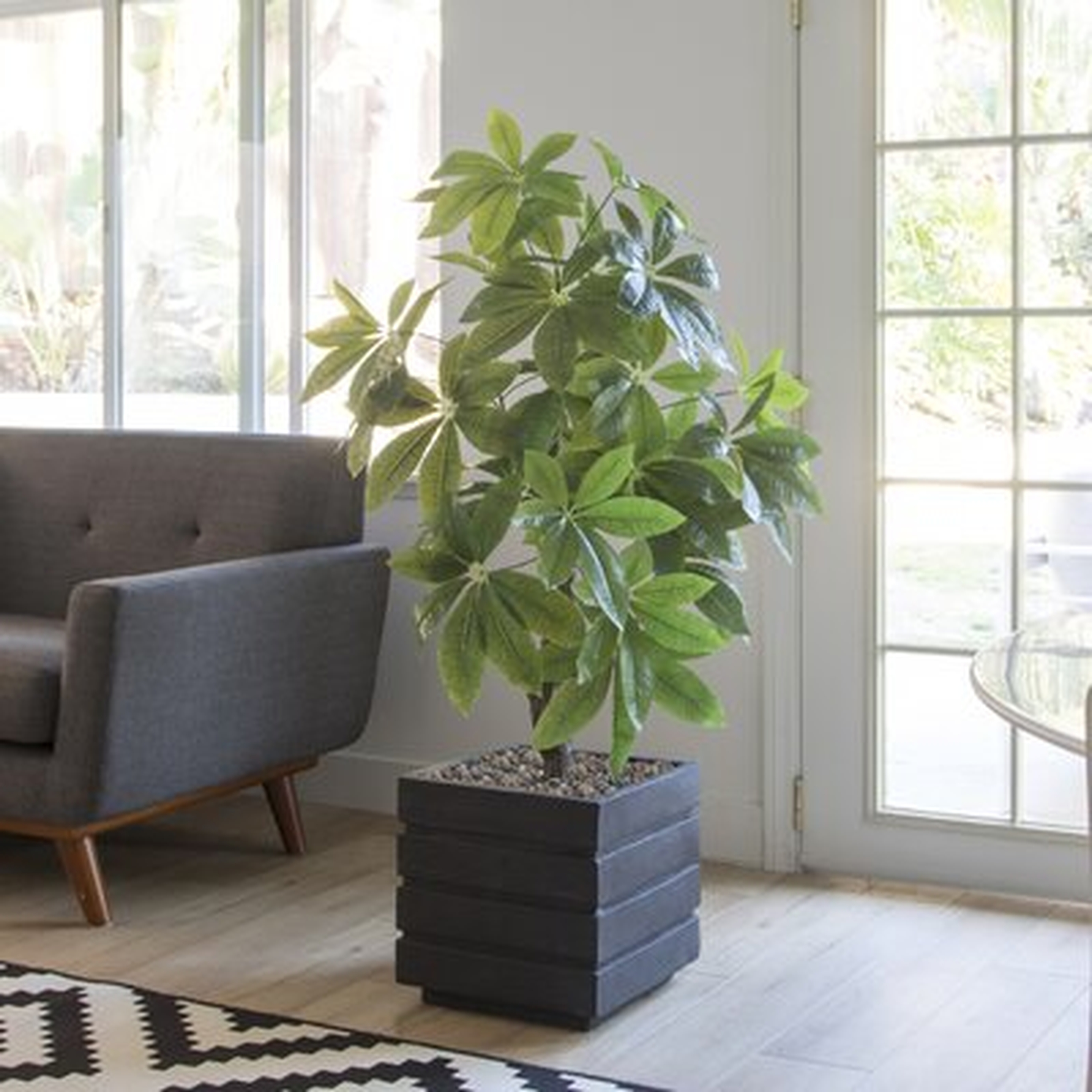 34" Real Touch Indoor/Outdoor Pachira Aquat Tree in Planter - Wayfair