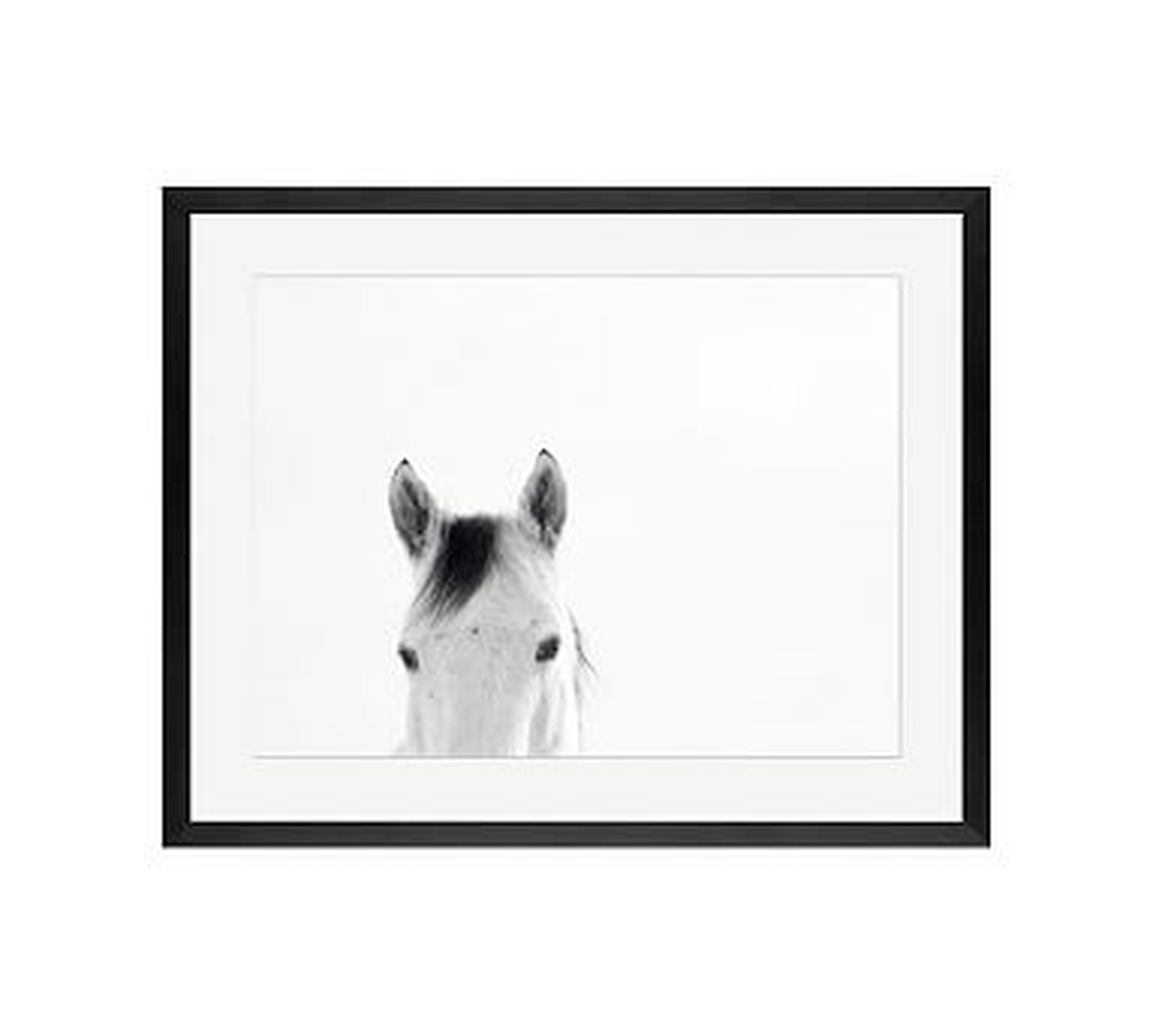 Modern White Horses Framed Print by Jennifer Meyers, 16x20", Wood Gallery Frame, Black, Mat - Pottery Barn