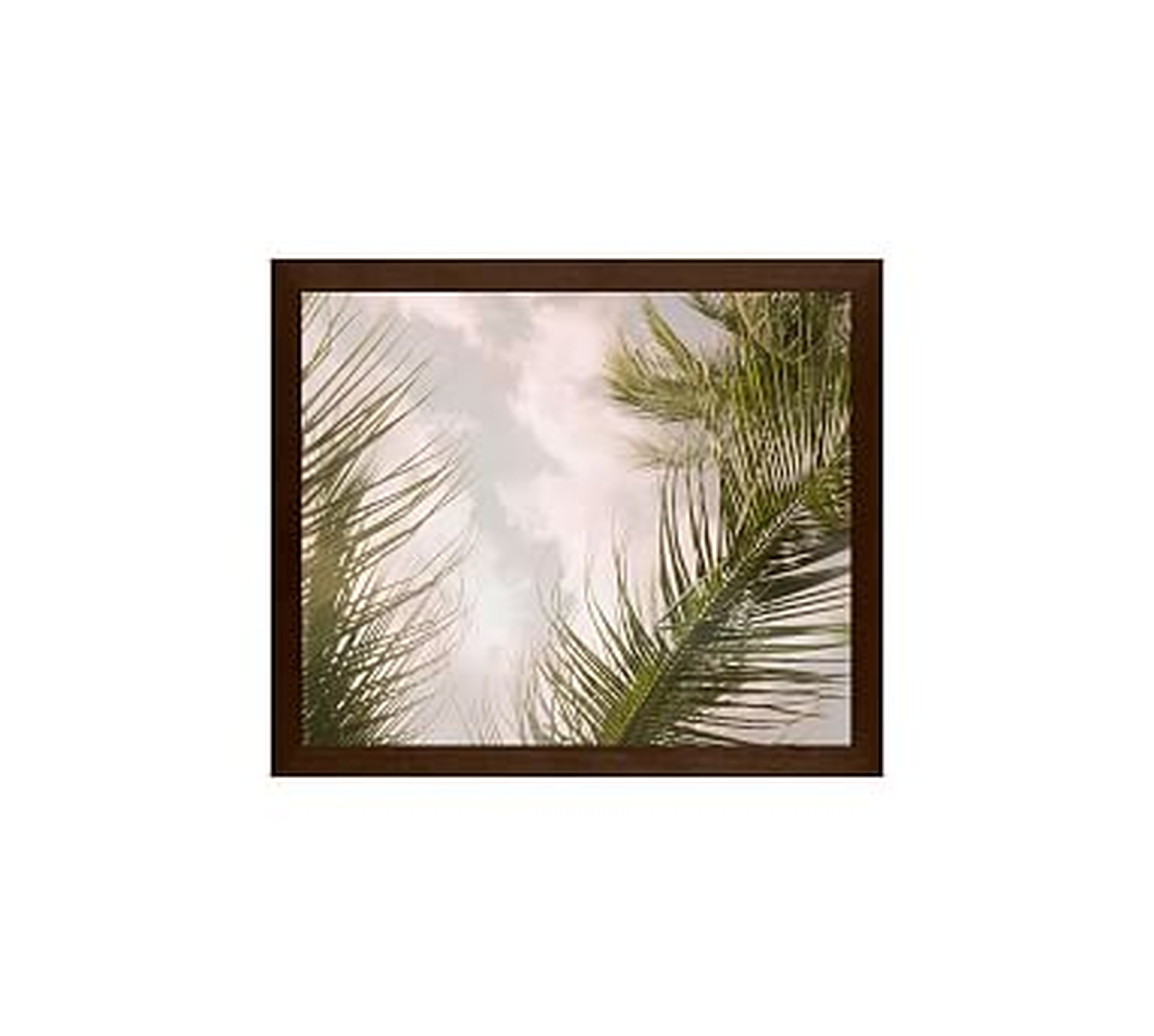 Airy Palm Tree Framed Print by Jane Wilder, 11x13", Wood Gallery Frame, Espresso, No Mat - Pottery Barn