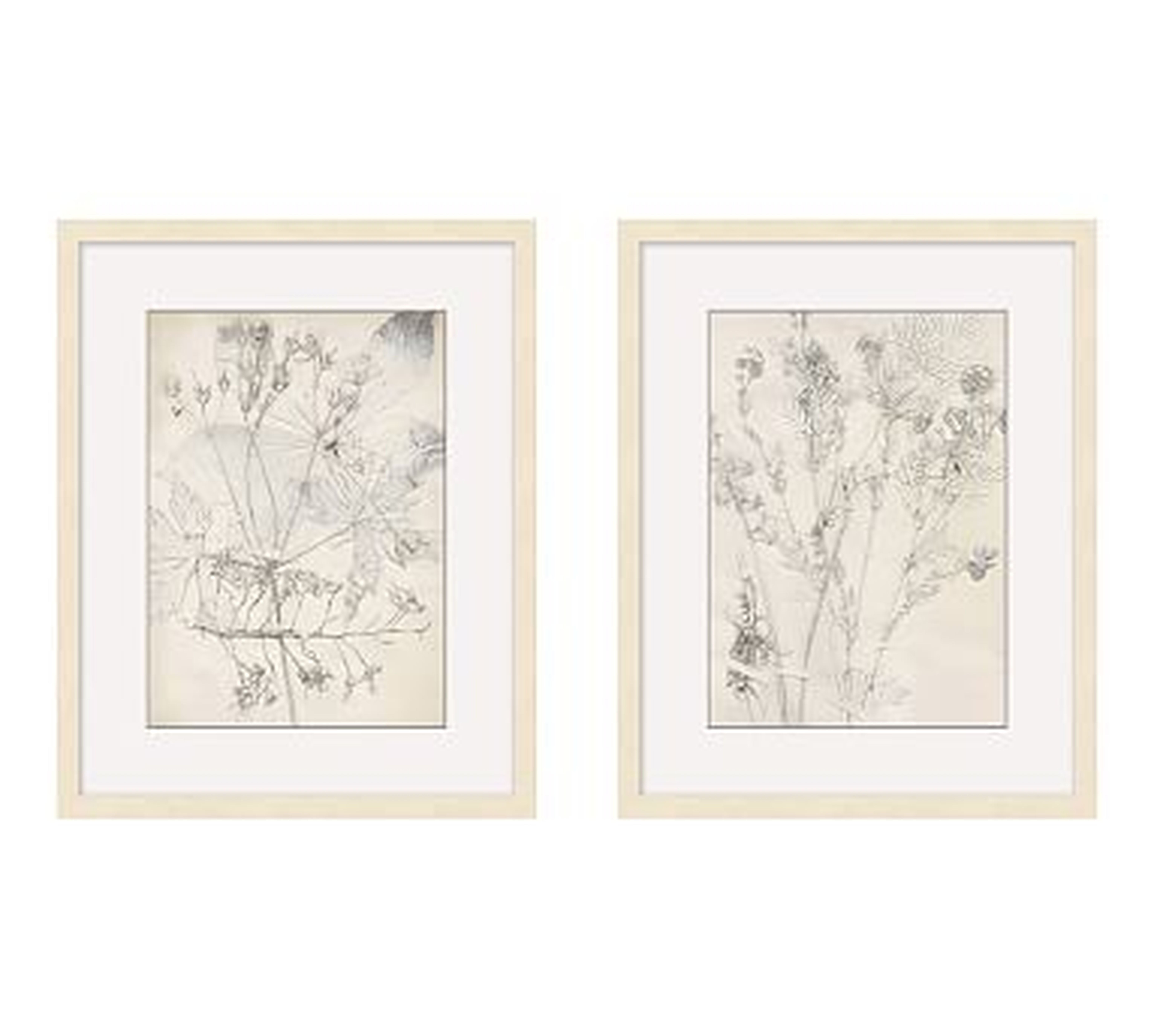 Ivory Foliage Print, Set of 2 - Pottery Barn