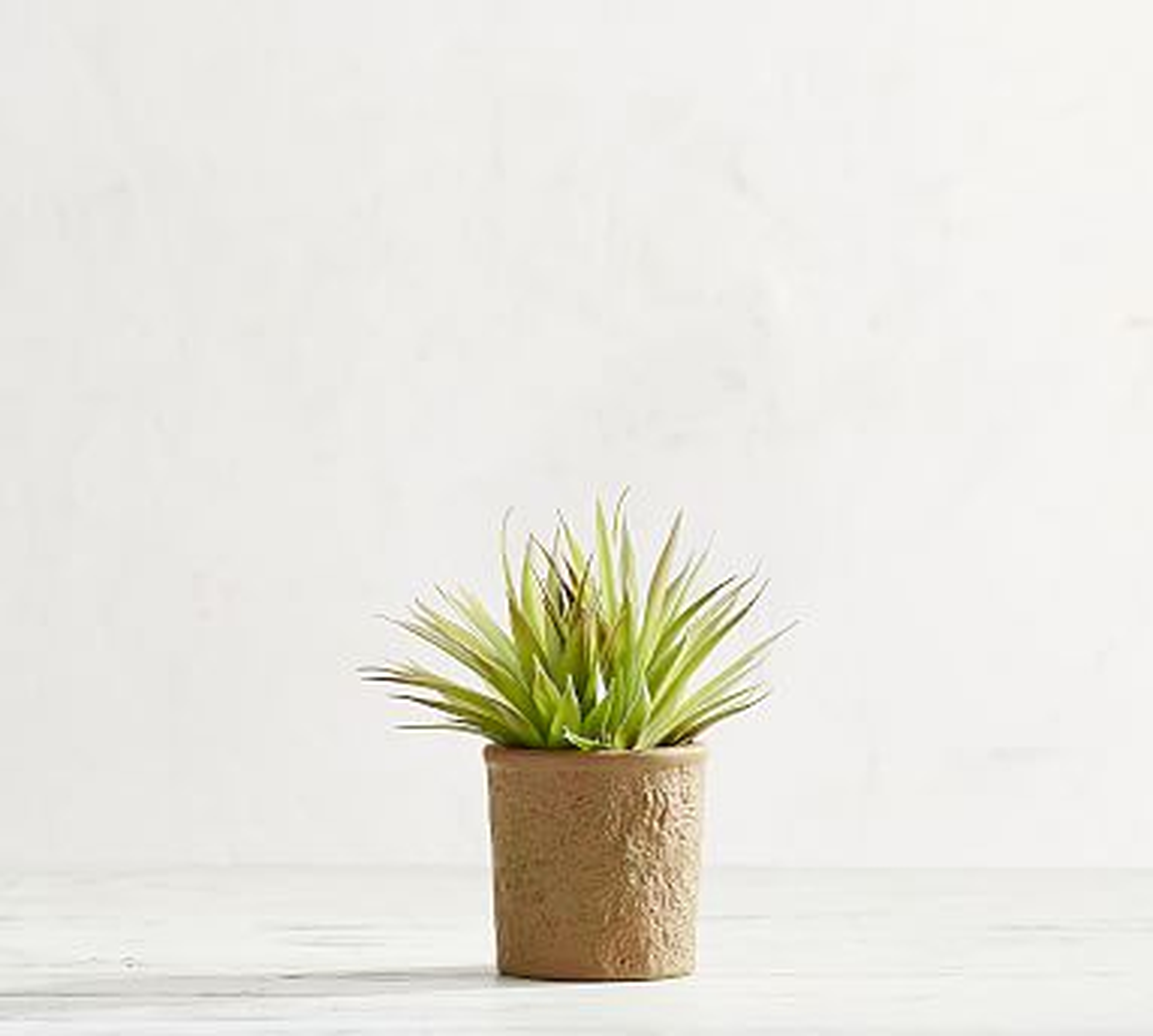 Faux Potted Spiky Succulent - Pottery Barn