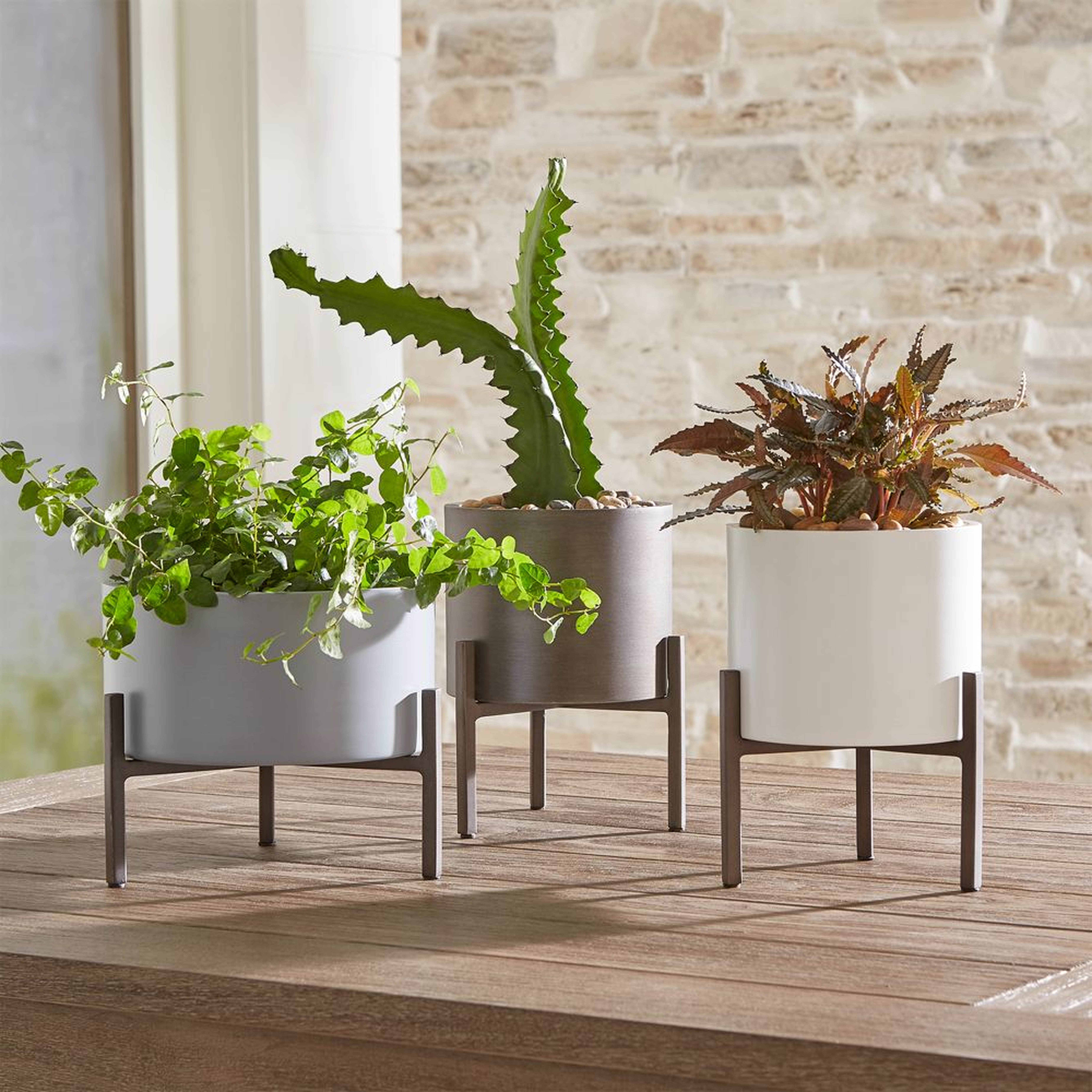 Dundee Tabletop Planters, Set of 3 - Crate and Barrel