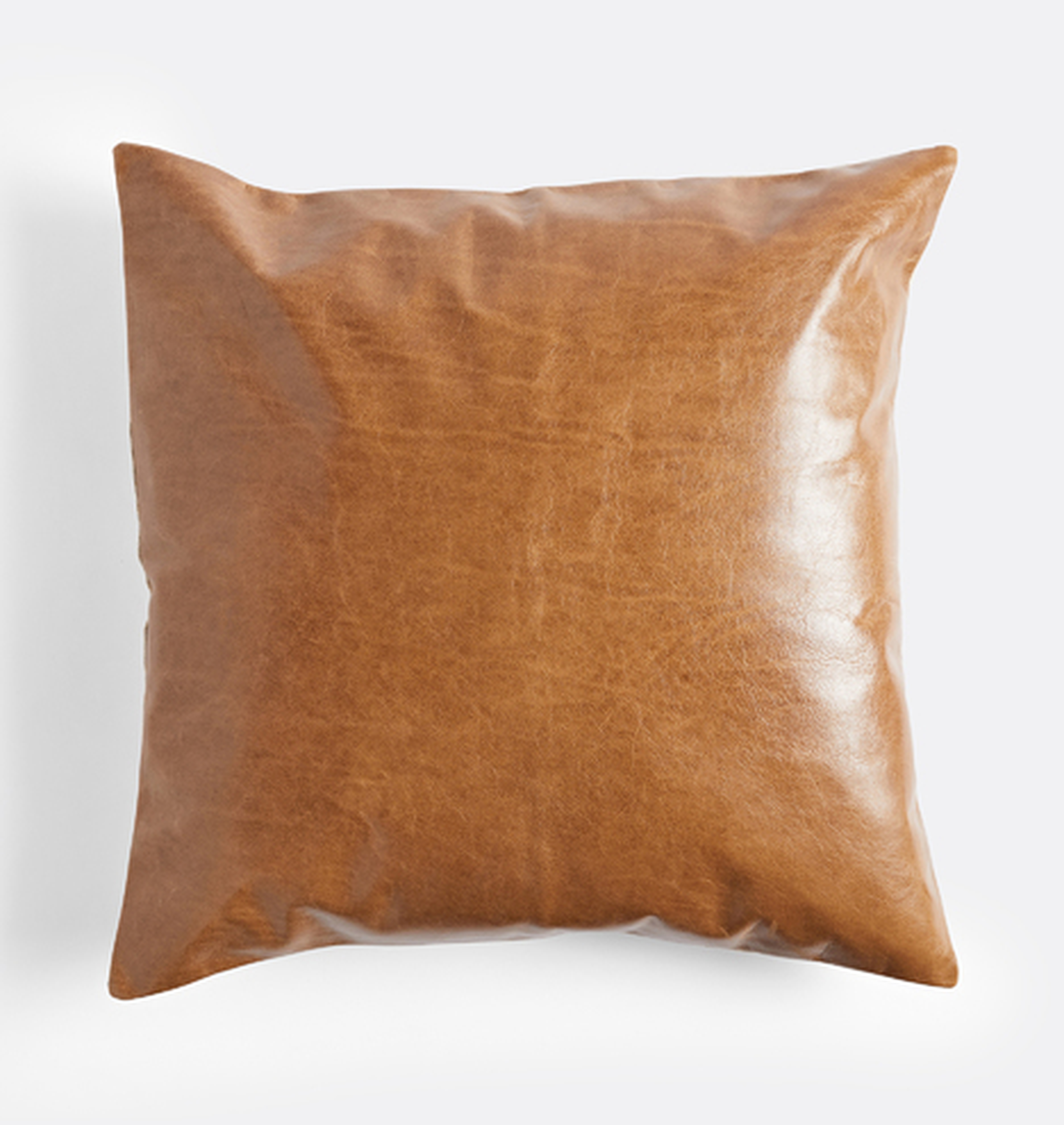 Leather Pillow Cover - Rejuvenation