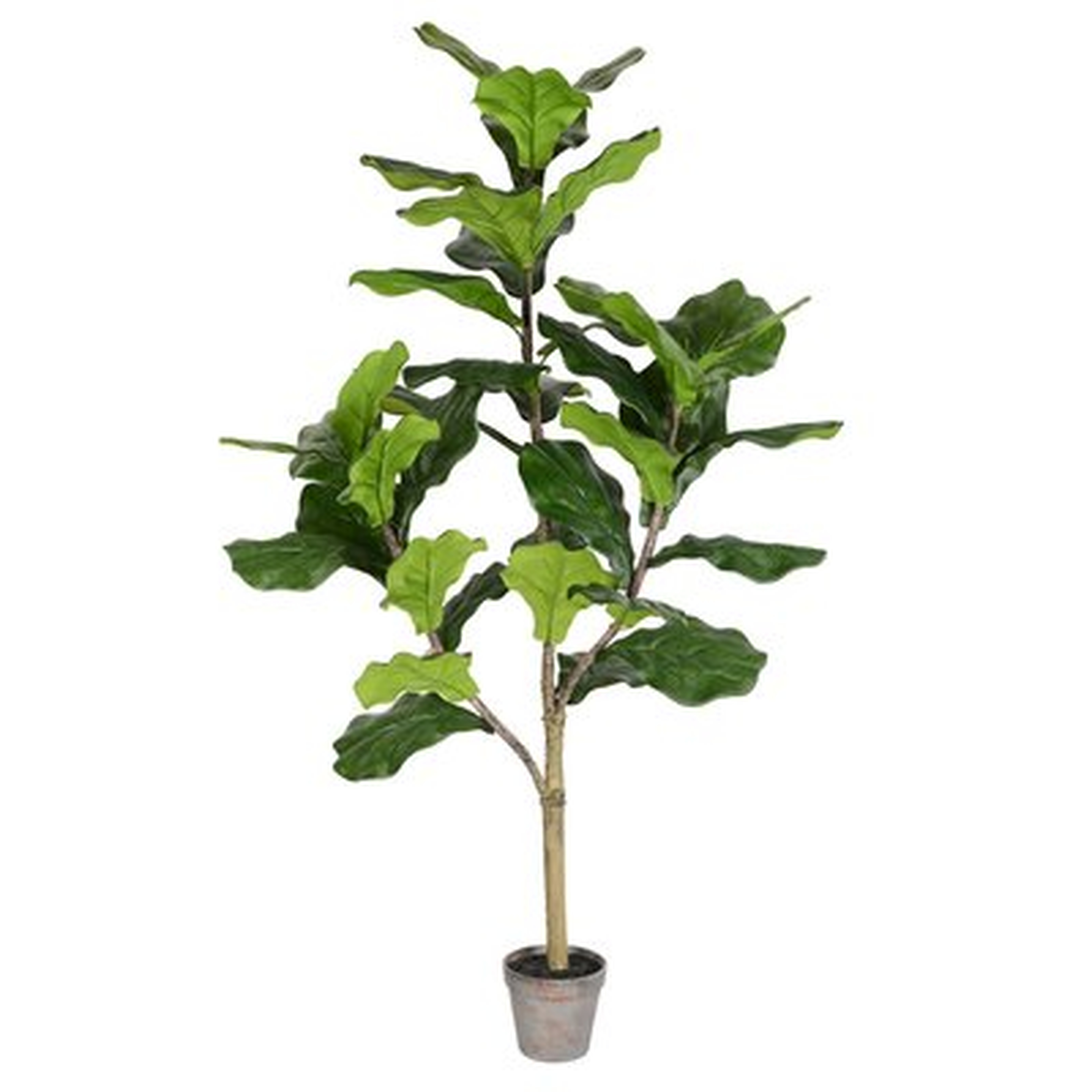 Artificial Potted Floor Foliage Fiddle Tree in Pot - Wayfair