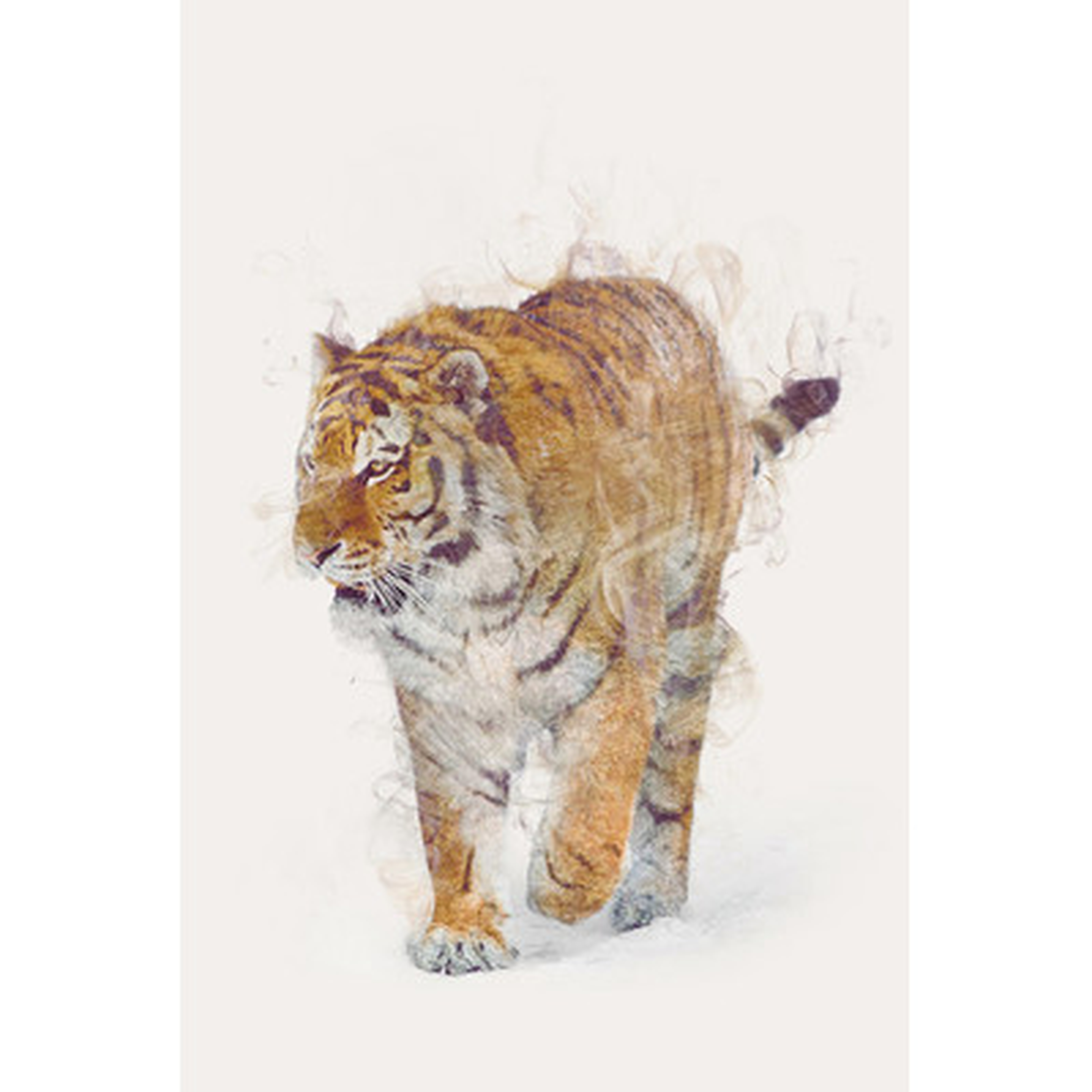 'The Tiger' Vertical Graphic Art on Wrapped Canvas - Wayfair