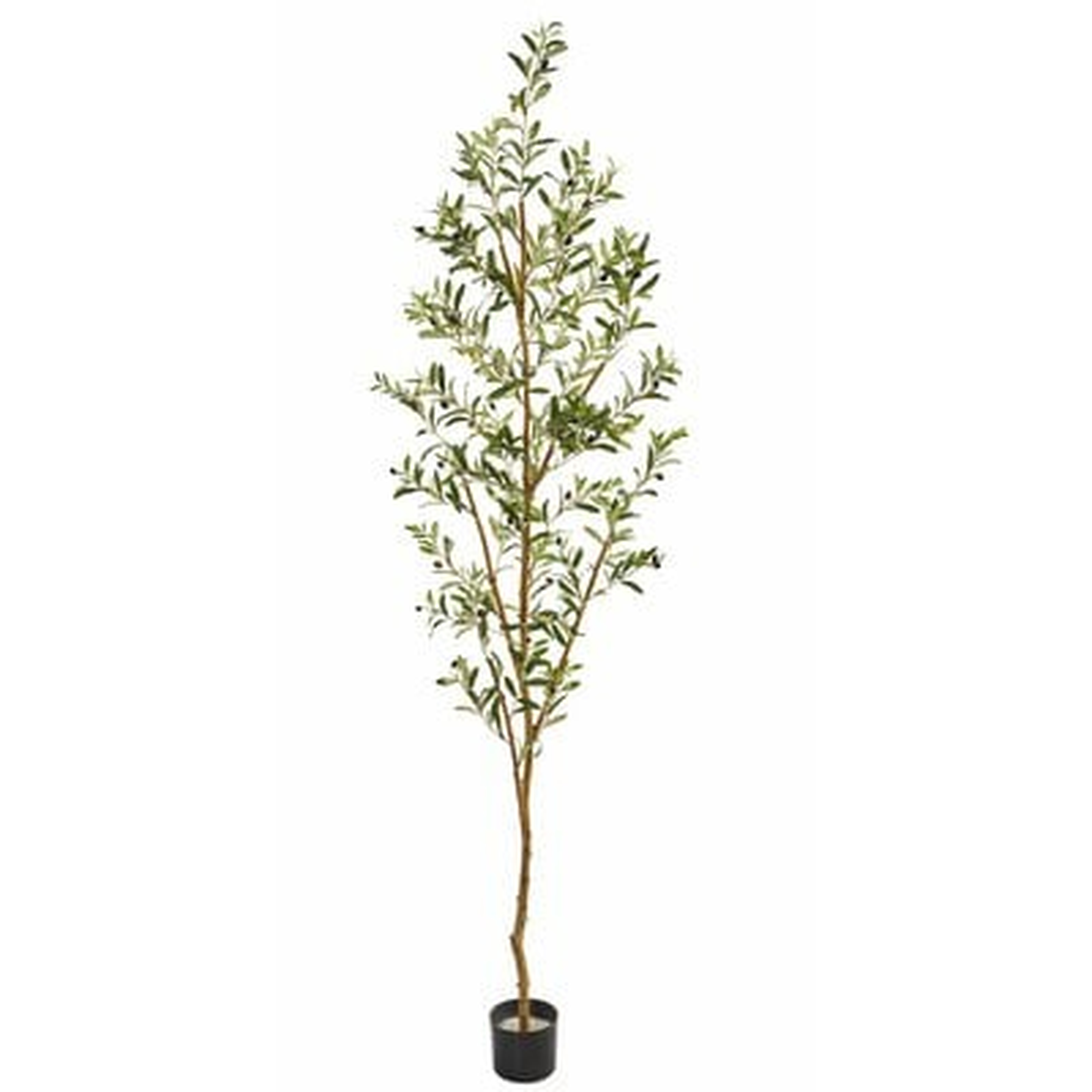 Faux Olive Tree in Planter, 82" - Wayfair