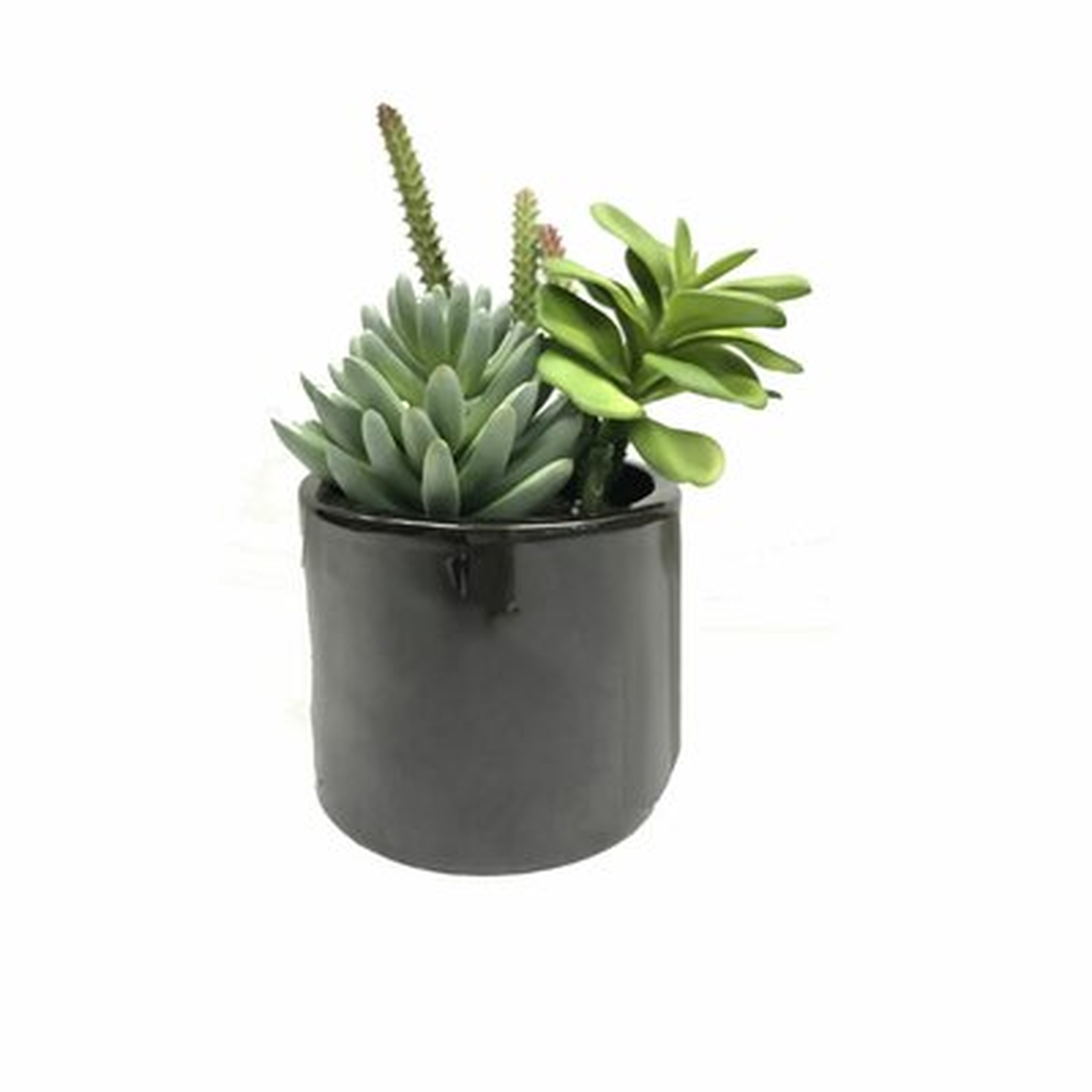 8'' Faux Succulent Plant in Cement Pot - Wayfair