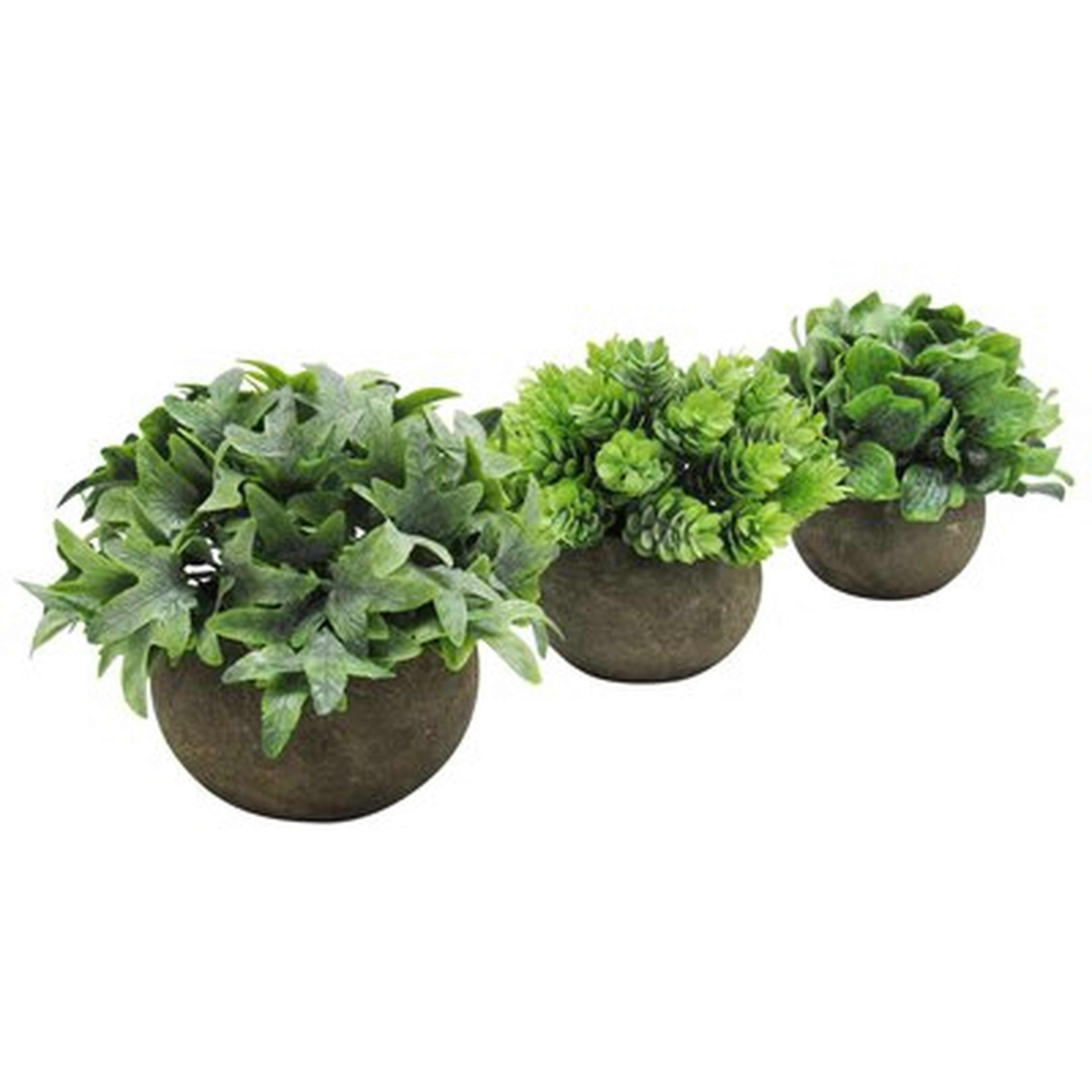 3 Piece Grass Pine Leaf Mix Ivy Plant in Pot Set (SET OF 3) - Wayfair