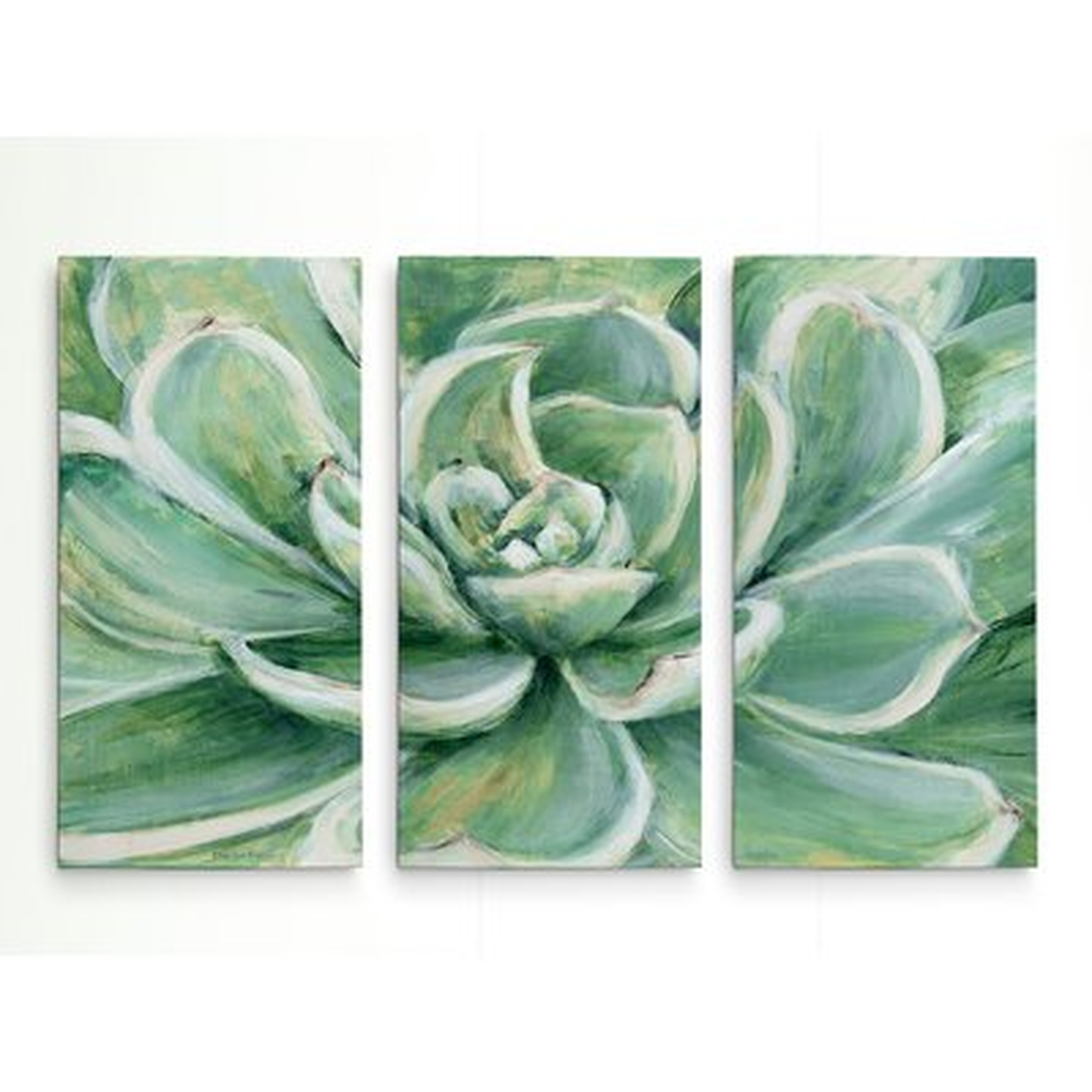 'Succulent' Acrylic Painting Print Multi-Piece Image on Gallery Wrapped Canvas - Wayfair