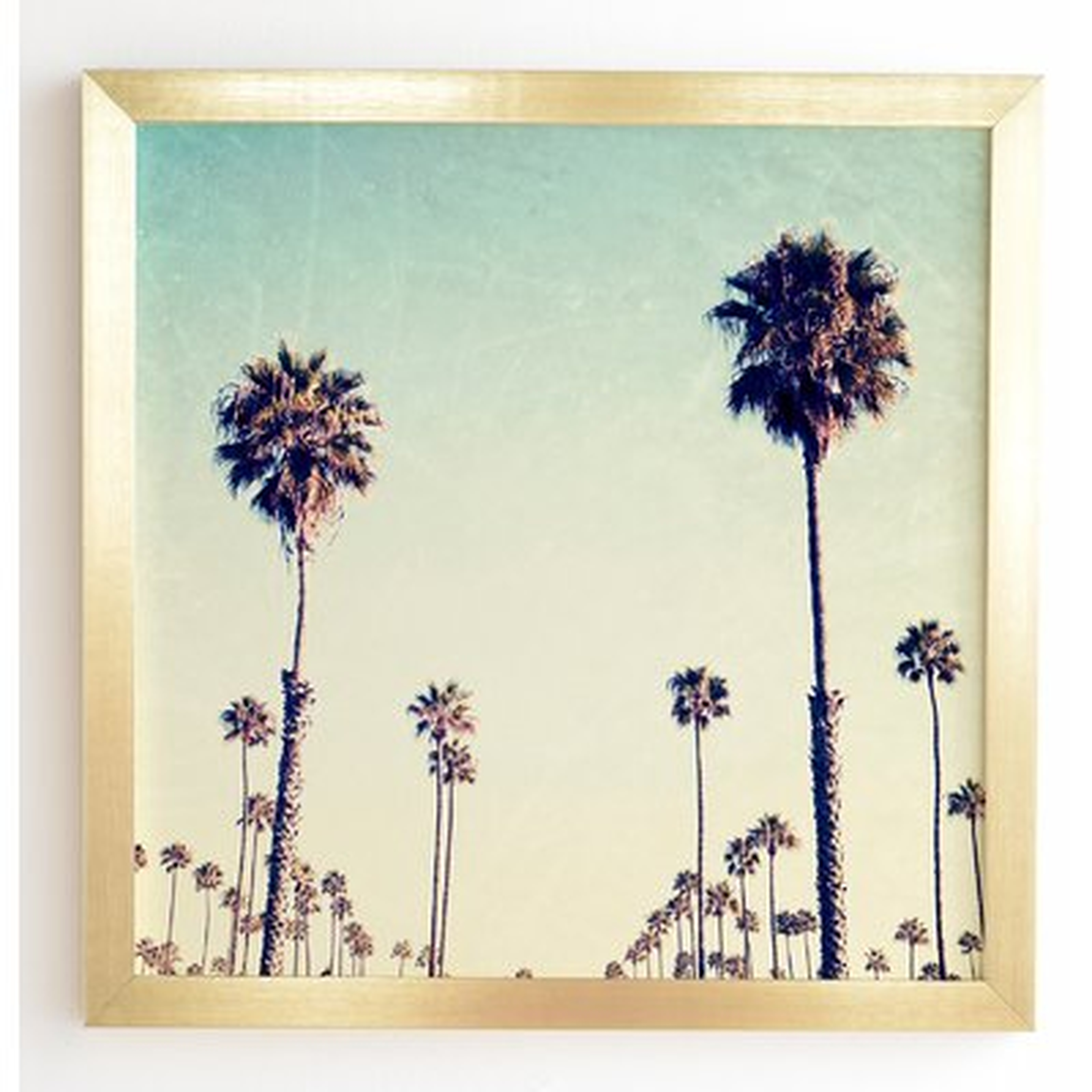 'California Palm Trees' Framed Photographic Print - Wayfair