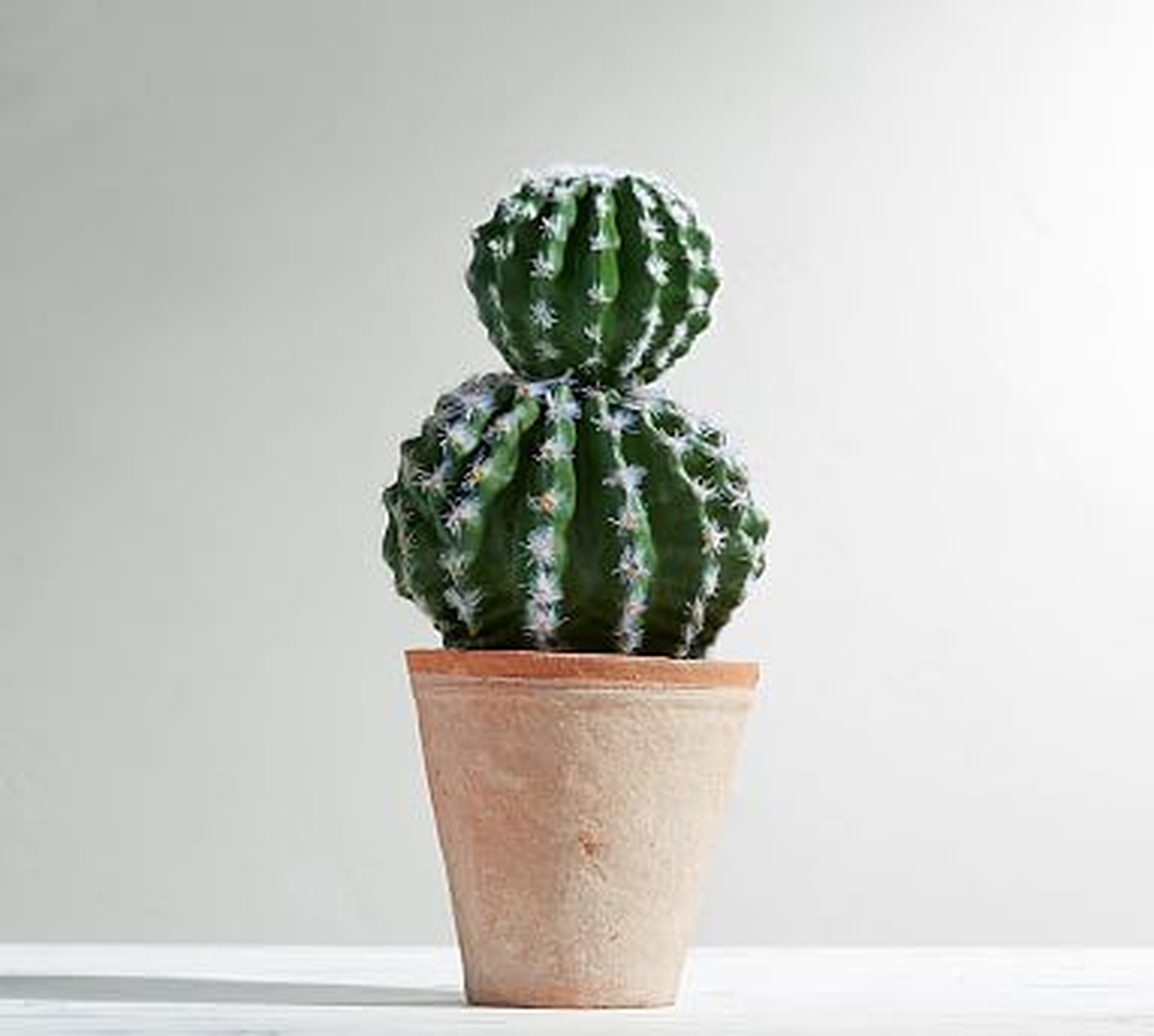 Faux Potted Double Ball Cactus - Pottery Barn