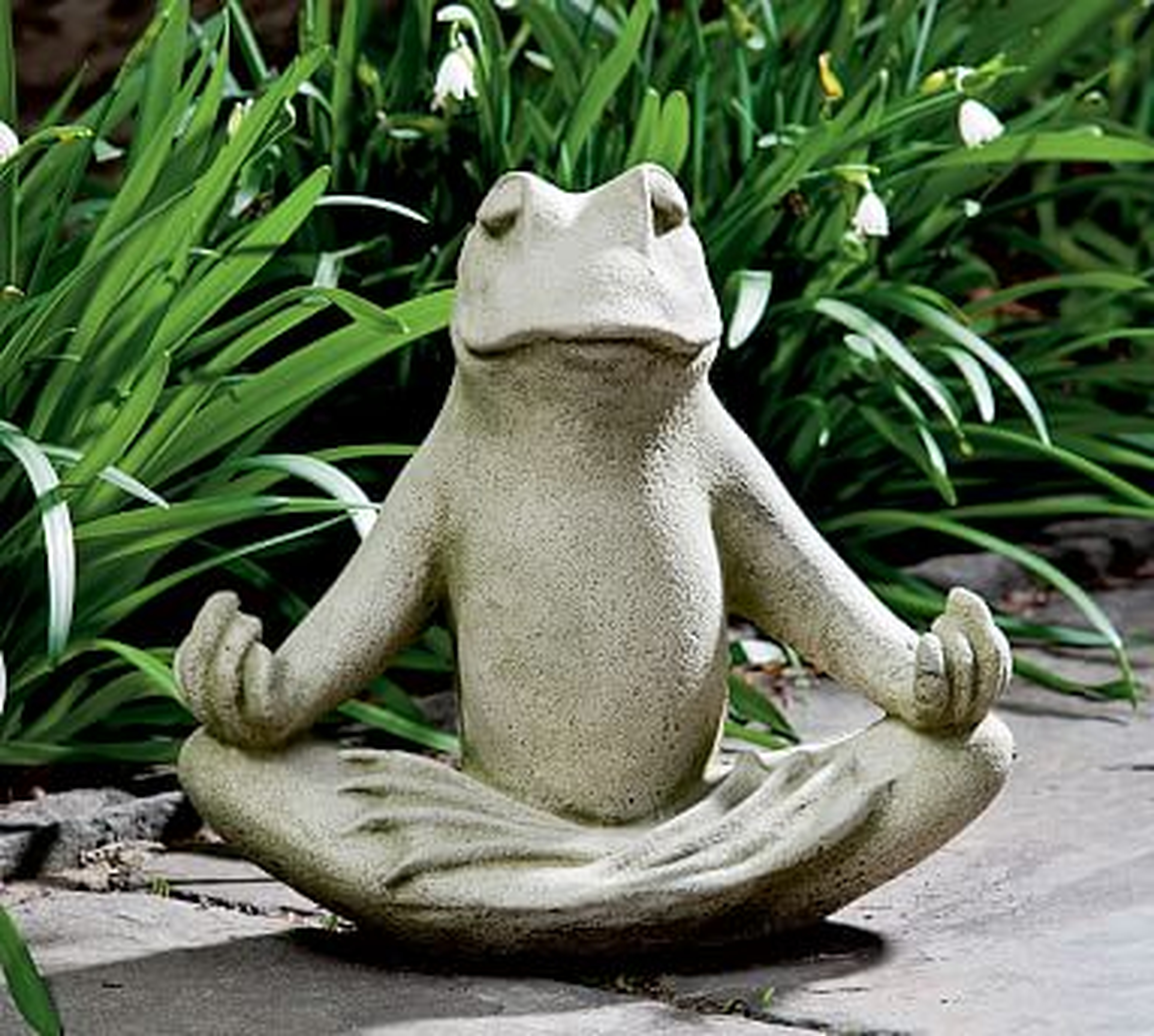 Tranquil Frog - Pottery Barn