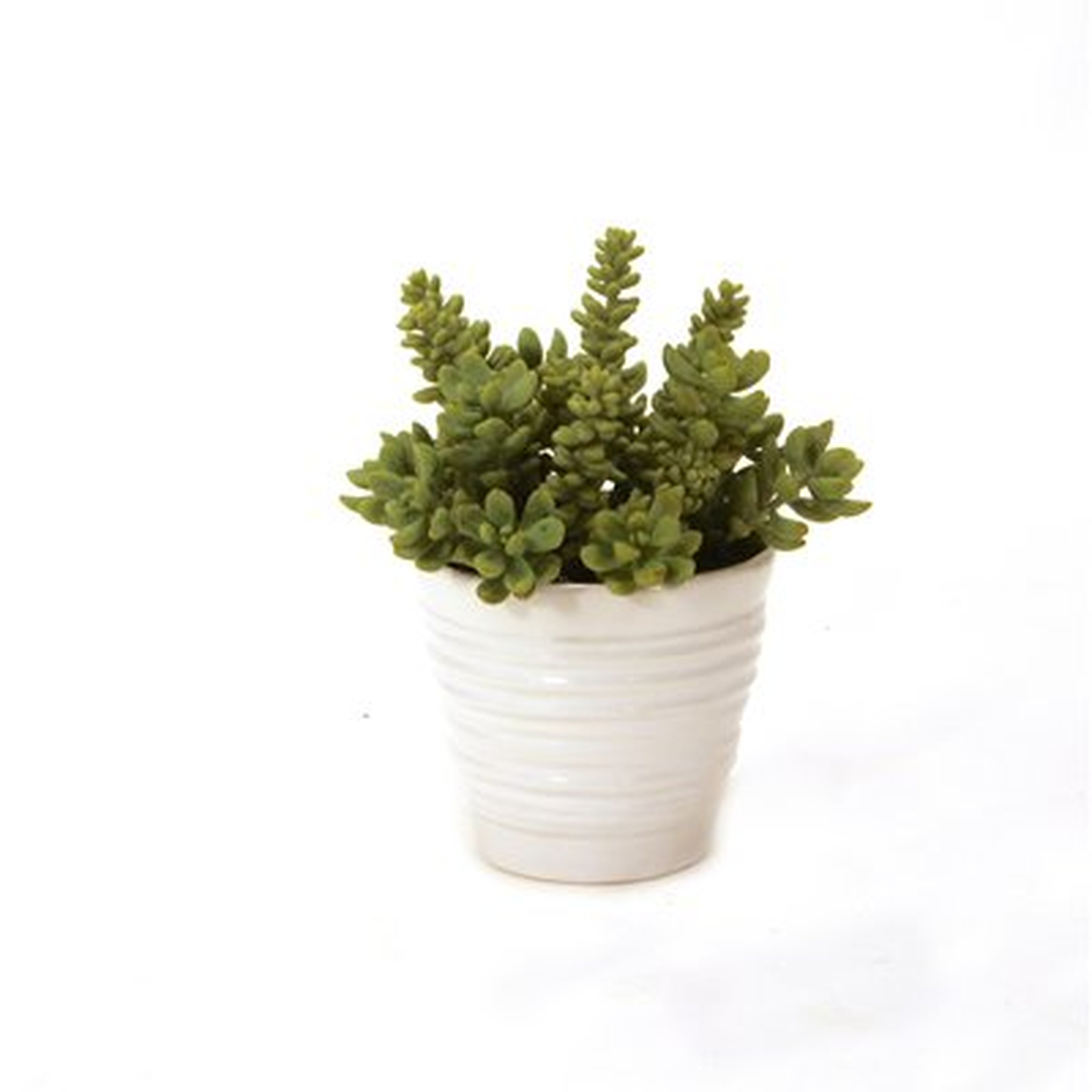 9'' Faux Succulent Plant in Ceramic Vase - Wayfair