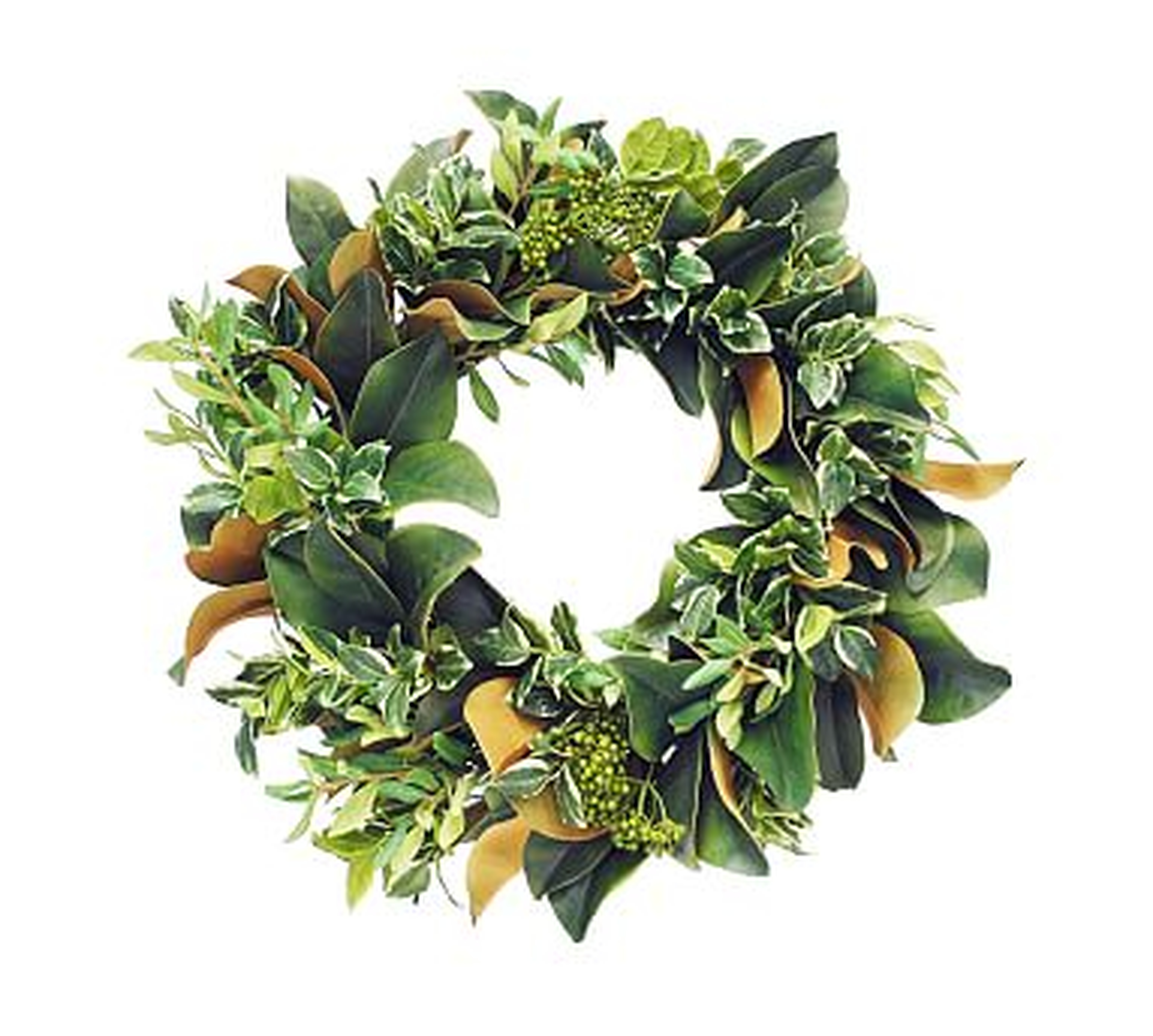 Faux Pittosporum And Magnolia Leaf Wreath, 22" - Pottery Barn
