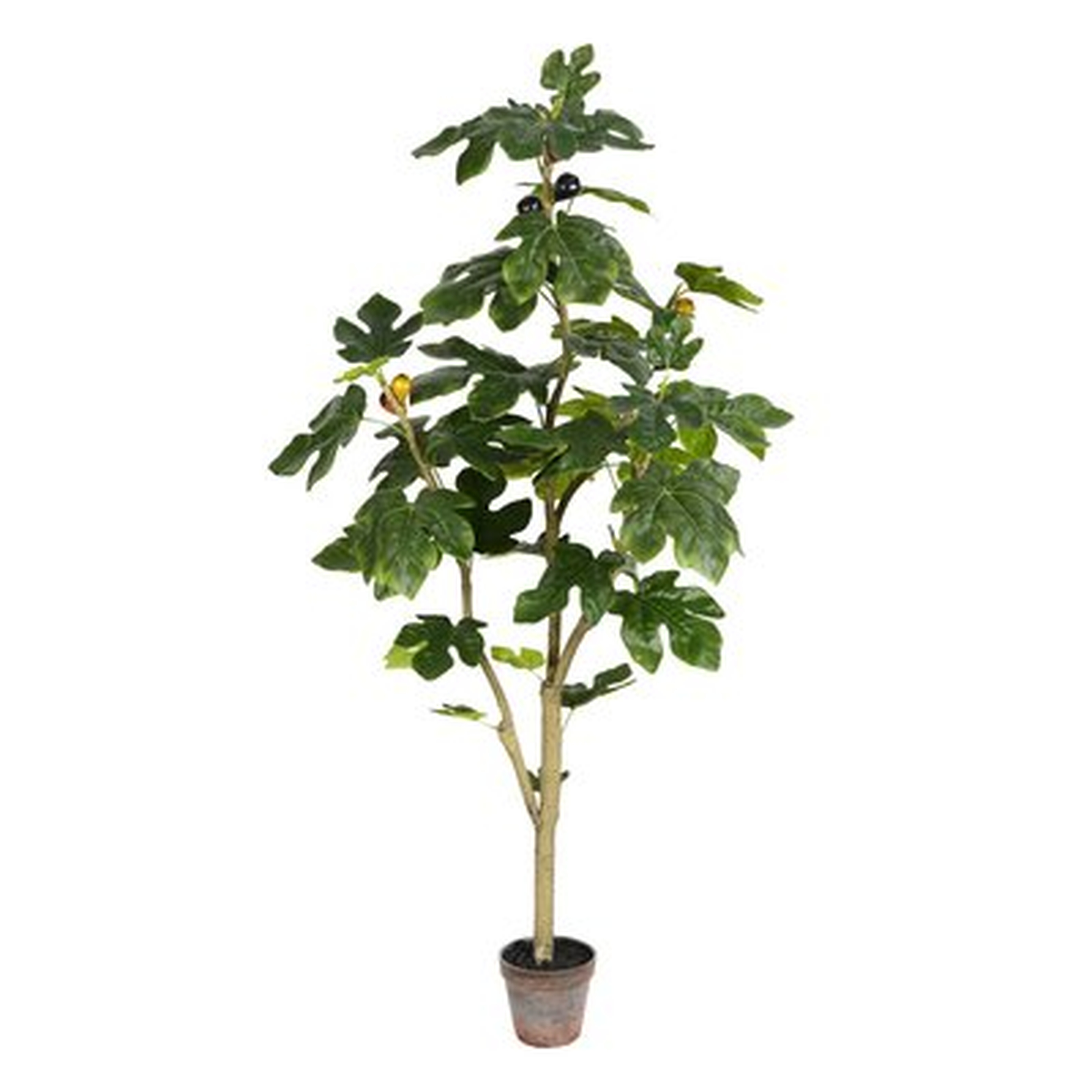 Artificial Potted Fig Floor Foliage Tree in Pot - Wayfair