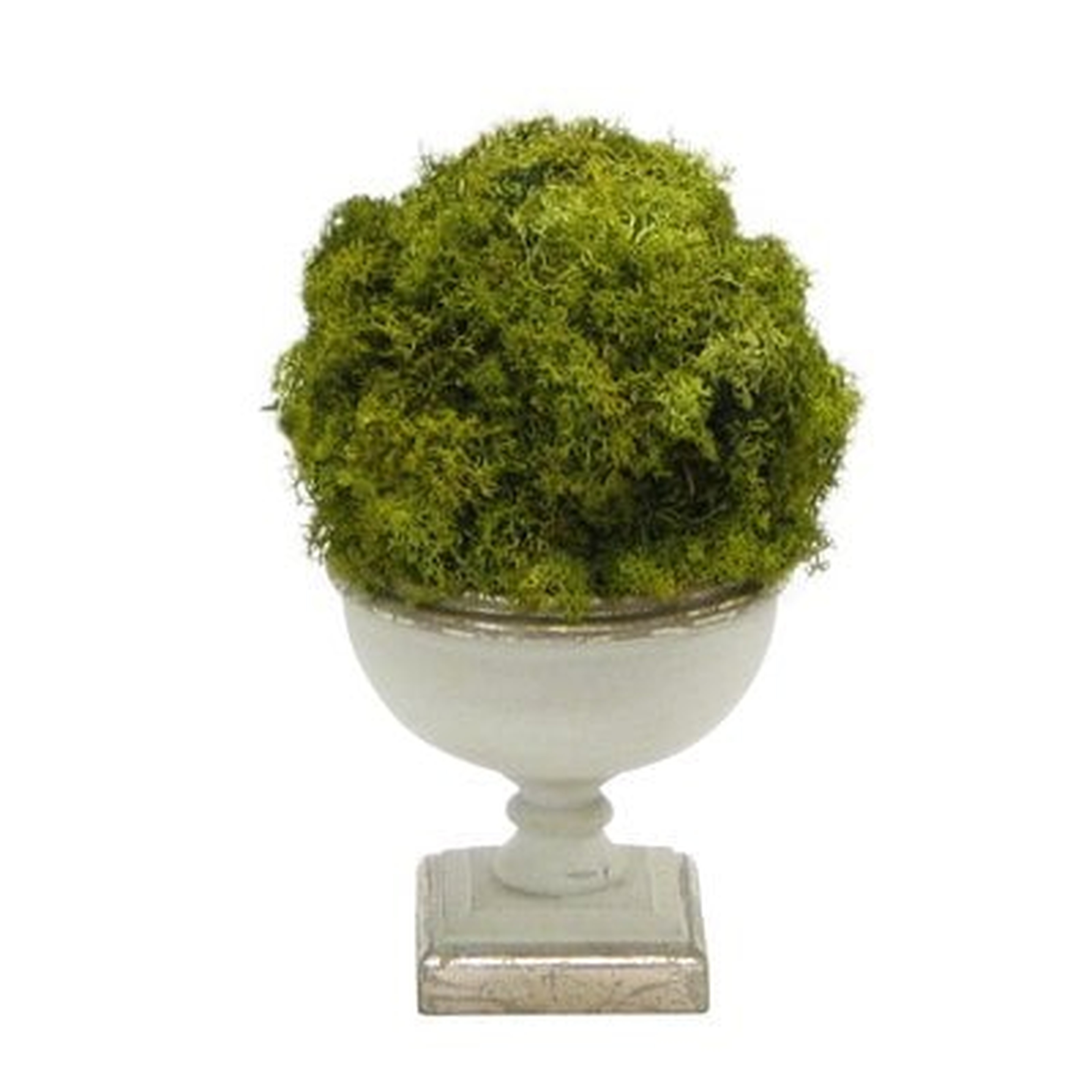 Ball Moss Topiary in Urn - Wayfair