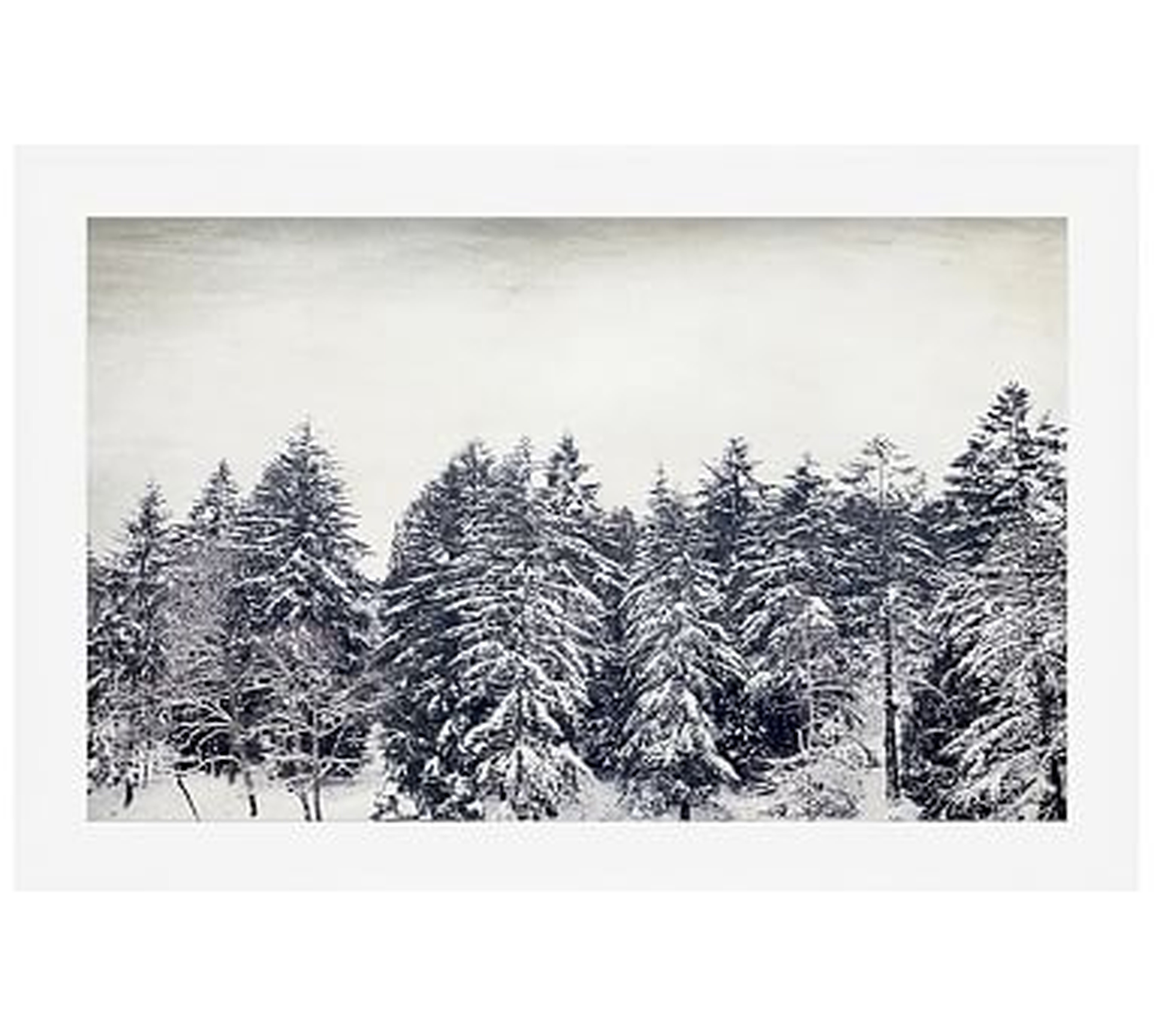 Pacific Snow Paper Print By Lupen Grainne, 42 x 28", Wood Gallery, White, Mat - Pottery Barn