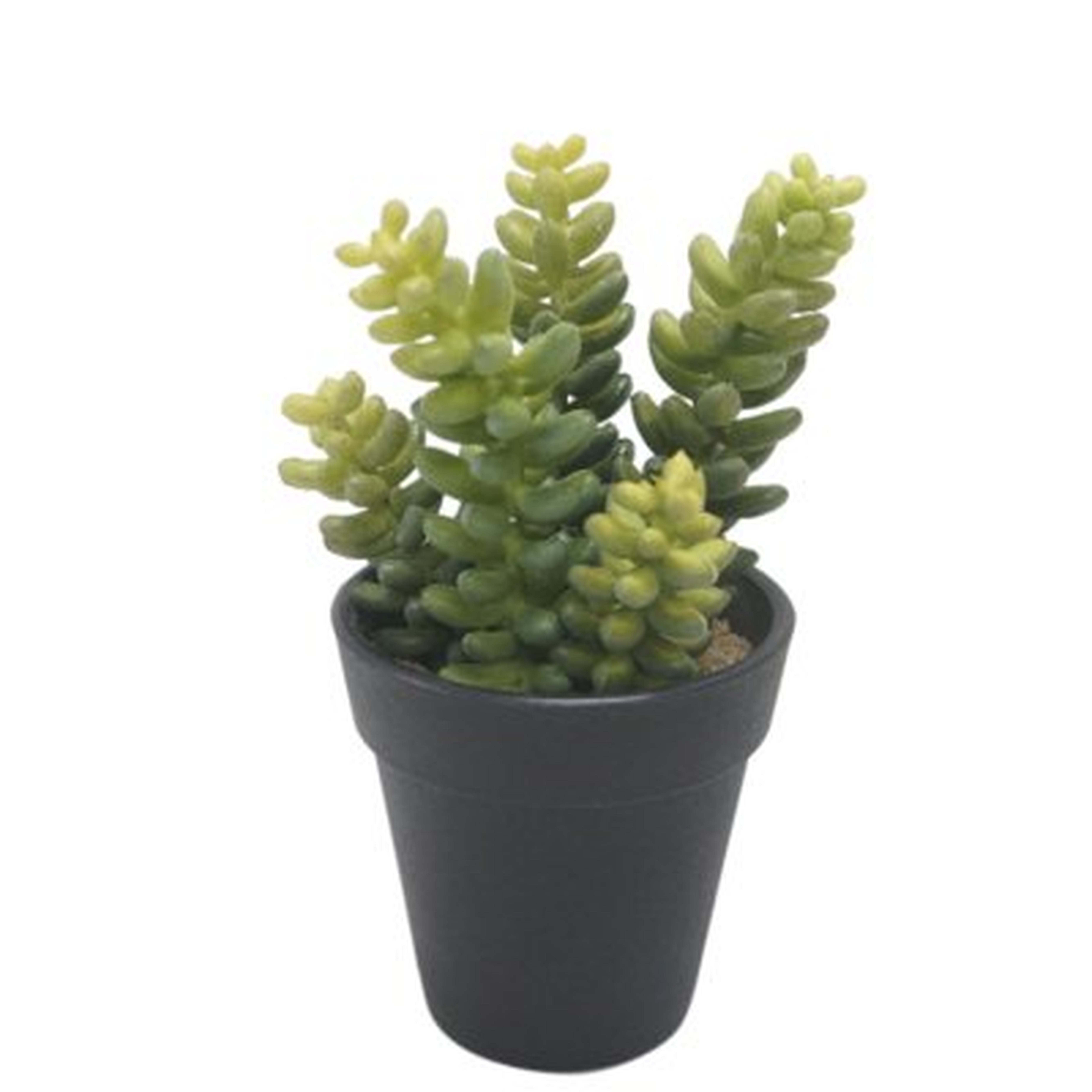 Faux Desktop Succulent Plant in Pot - Wayfair