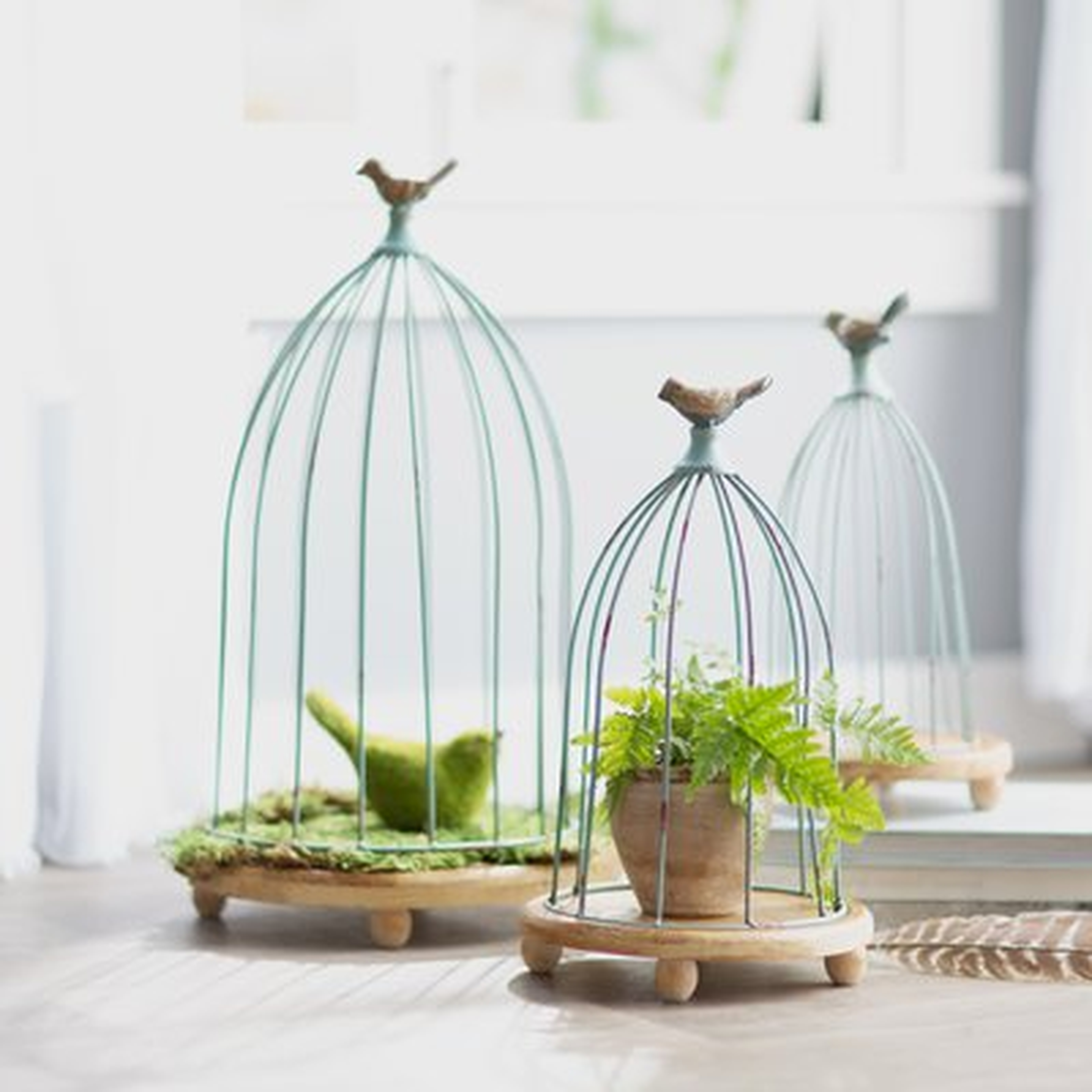 3 Piece Decorative Bird Cages Set - Birch Lane