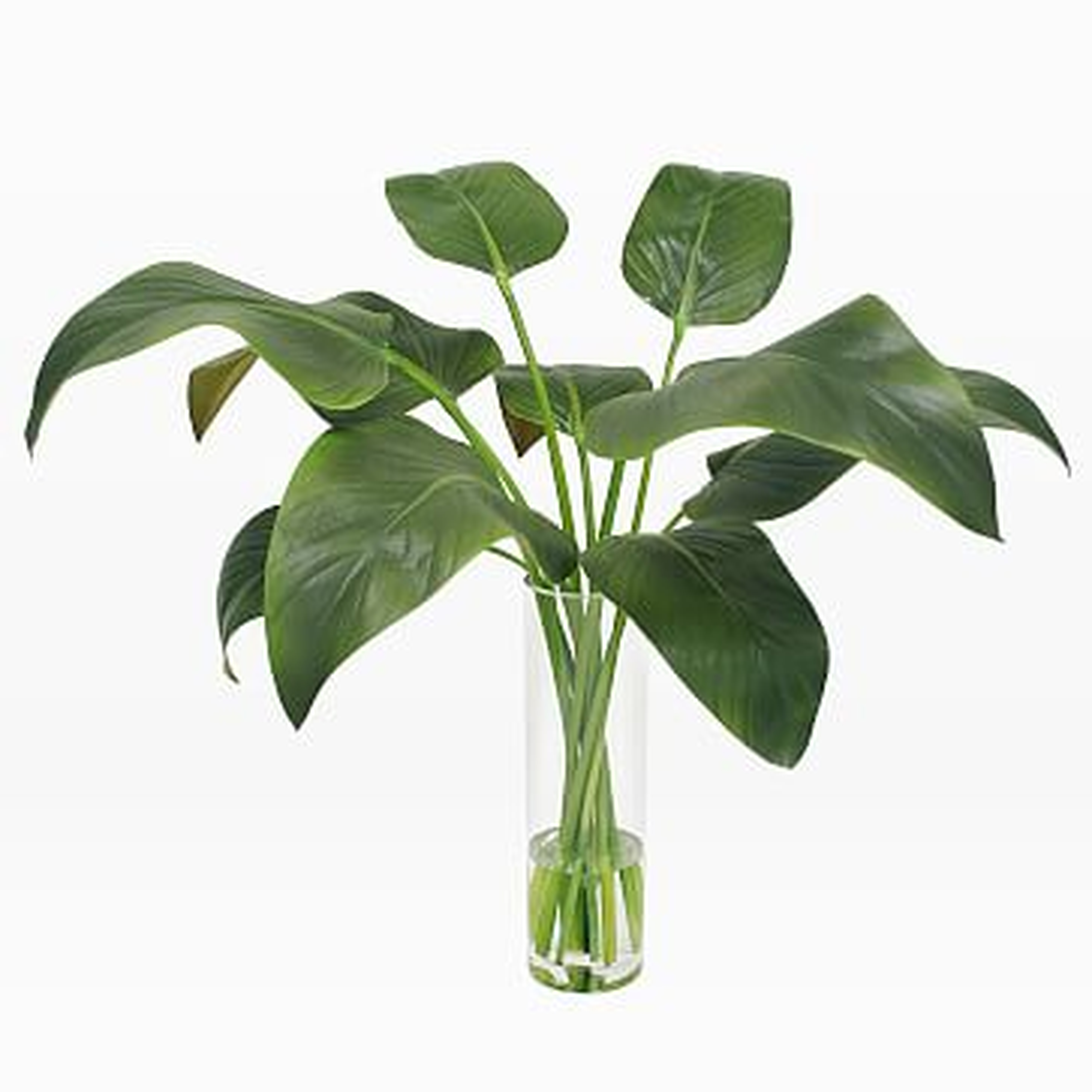 Faux Calla Leaf in Vase, 28"D x 29"H, Green - West Elm