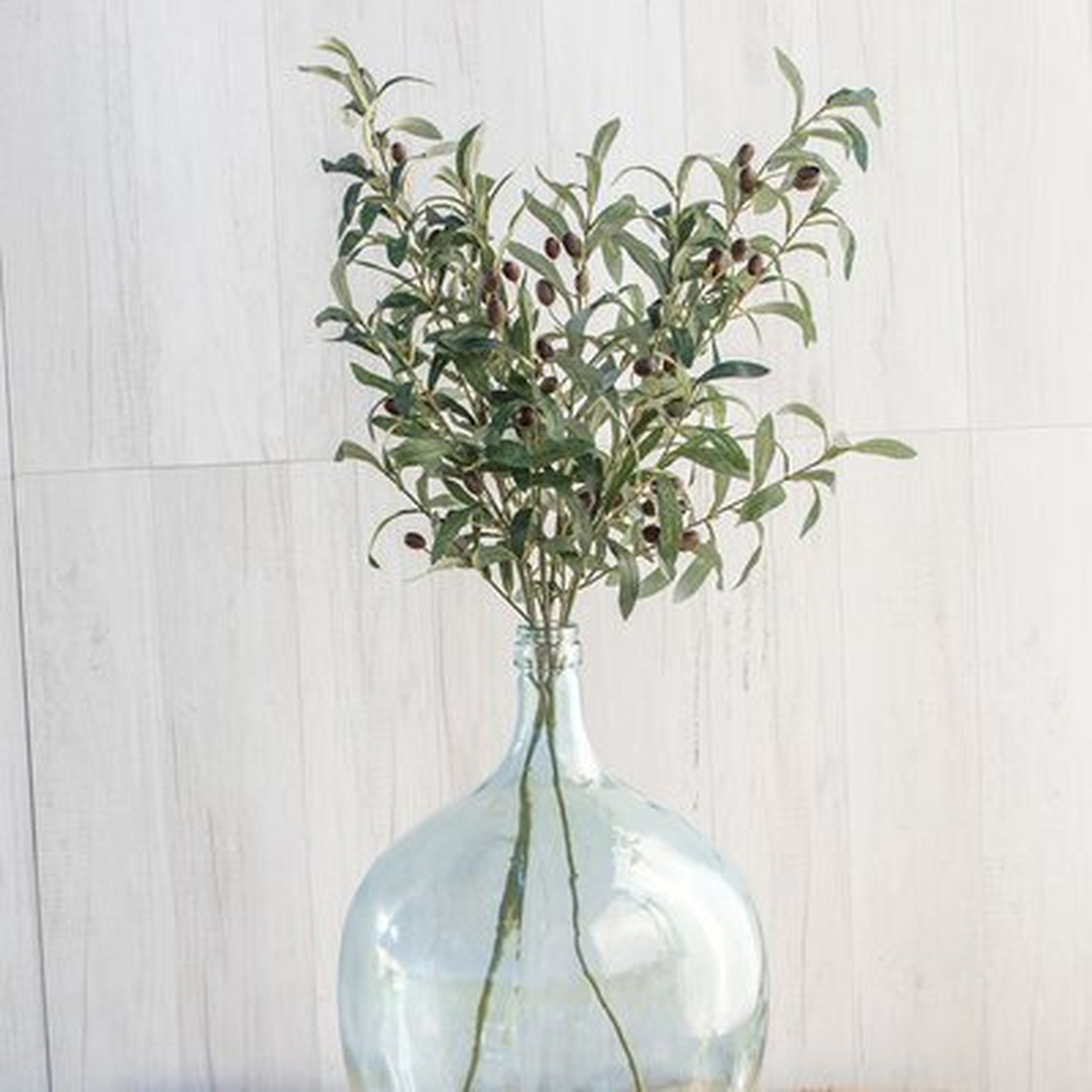 Olive Leaf and Seed Spray Plant - Wayfair