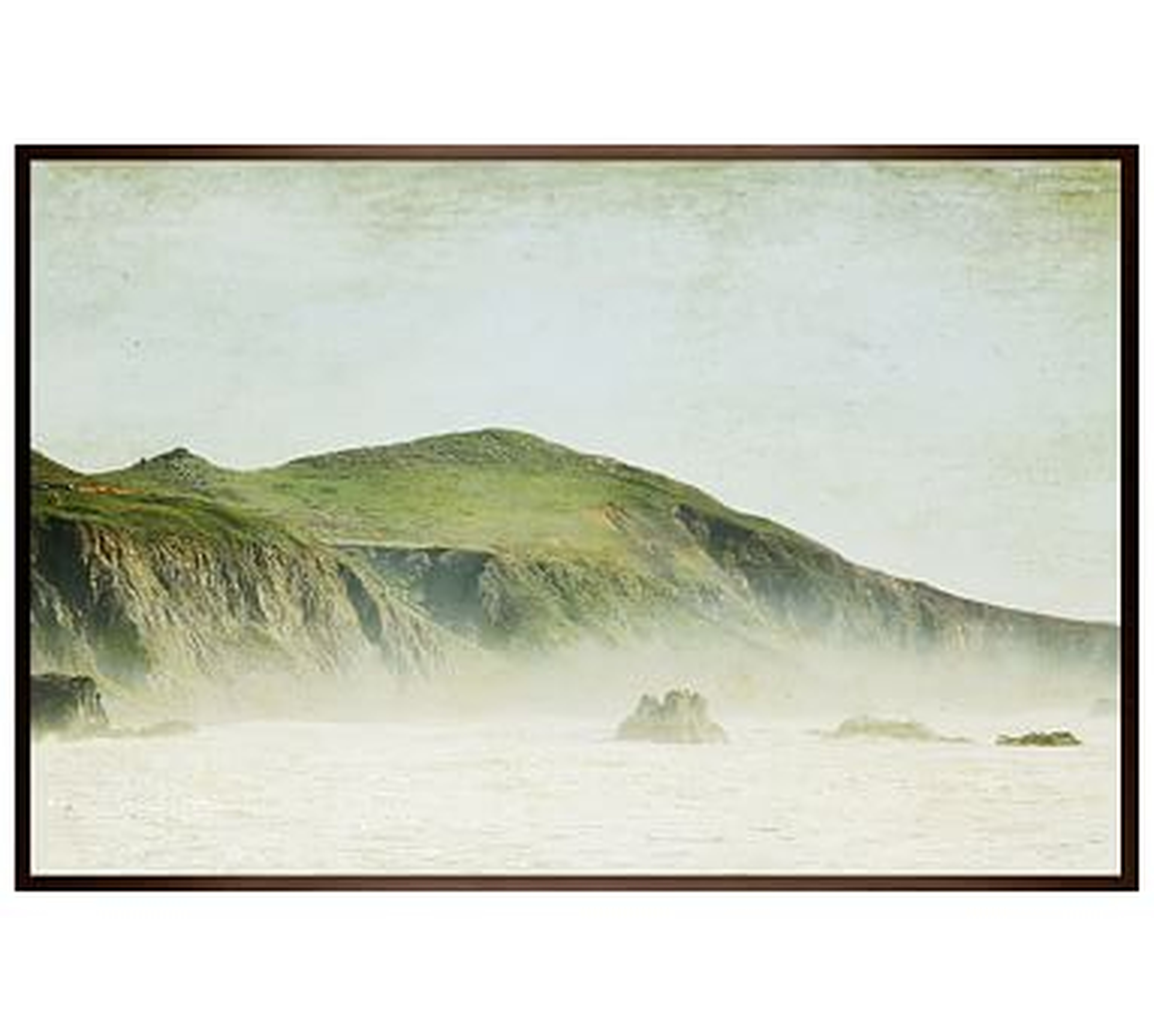 Green and Mist Framed Print by Lupen Grainne, 42 x 28", Wood Gallery Frame, Espresso, No Mat - Pottery Barn