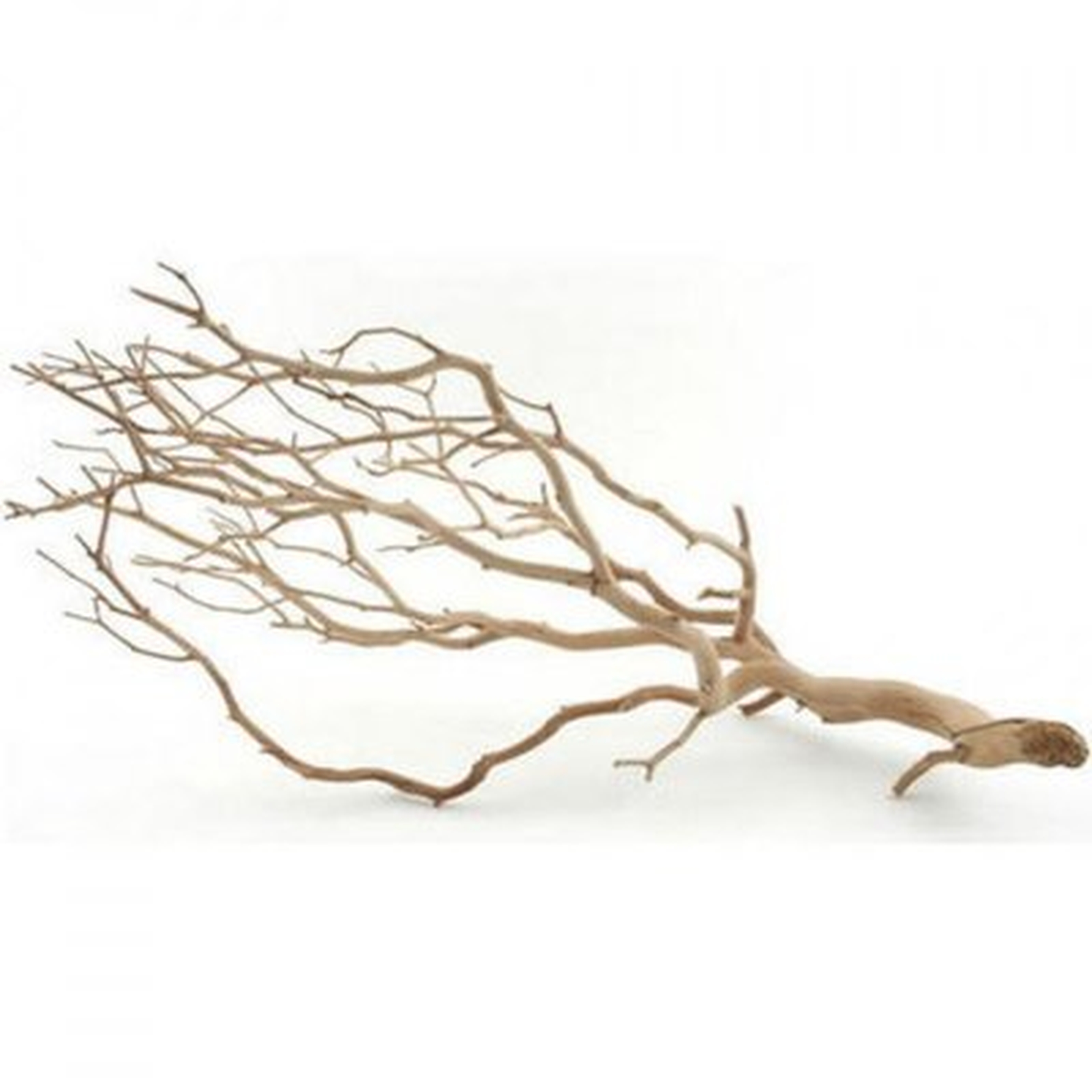 Decorative Natural Manzanita Branch - Birch Lane