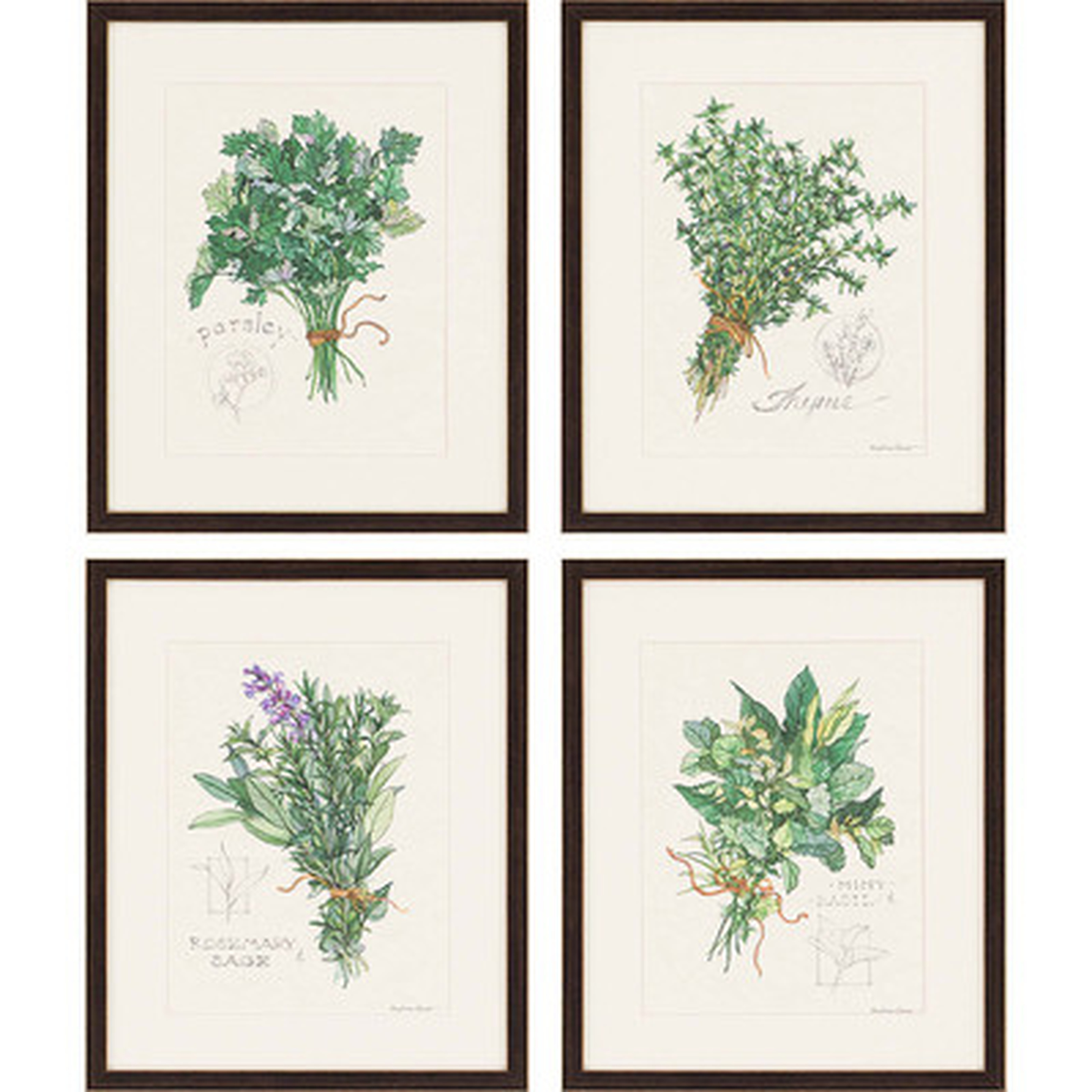 'Herbs' 4 Piece Picture Frame Graphic Art Set - Birch Lane