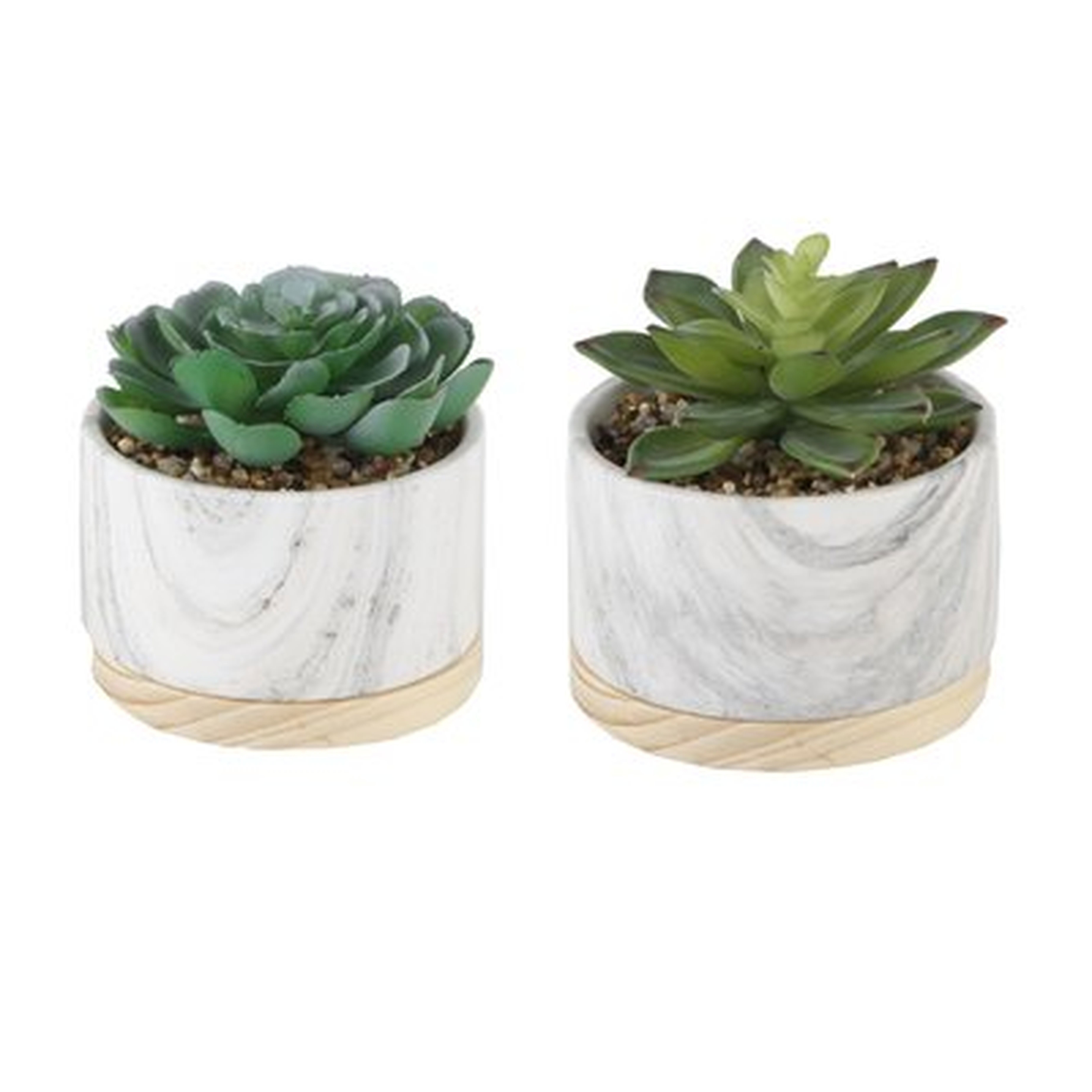 2 Piece Marbel/ Wood Base Desktop Succulent Plant Set - Wayfair