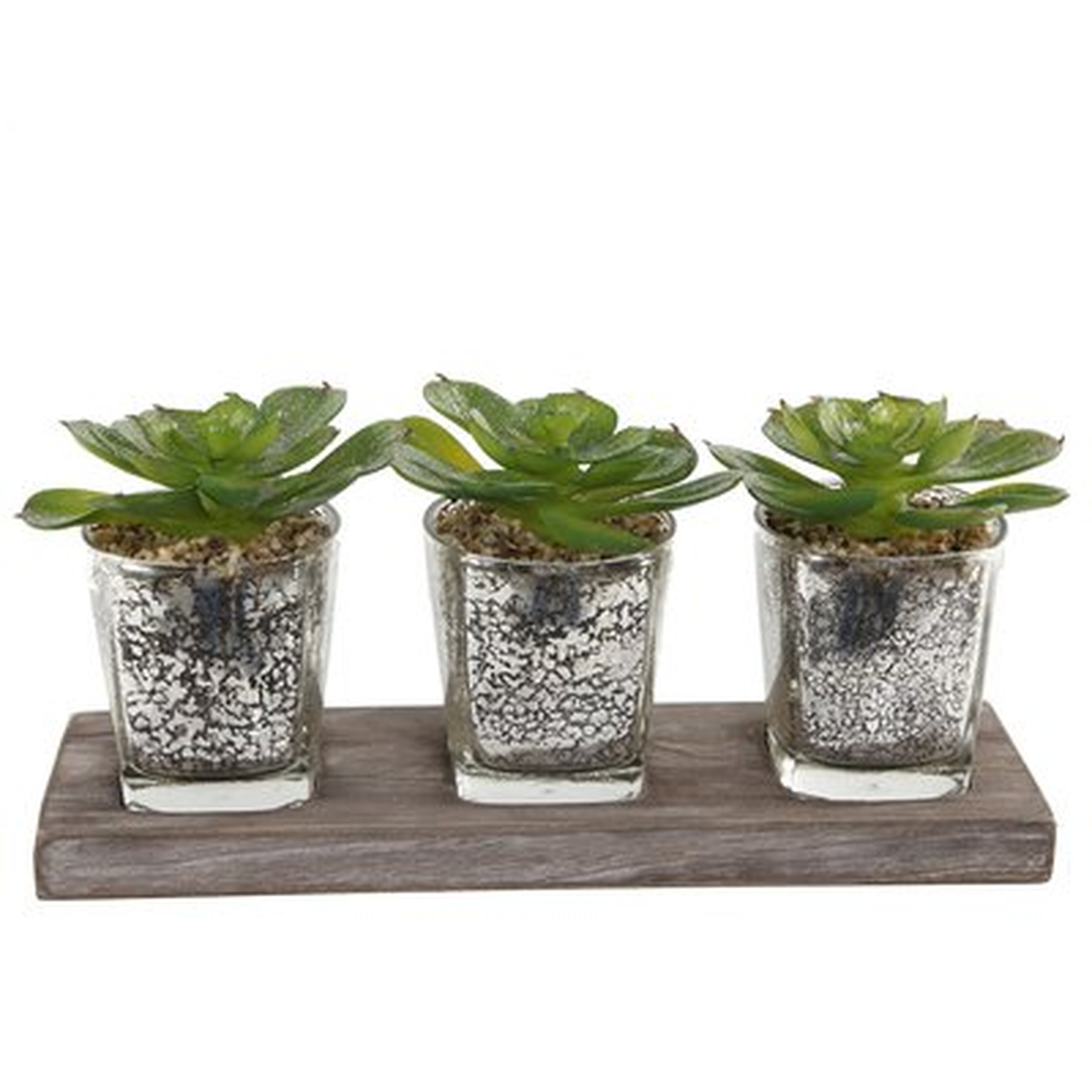 Desktop Succulent&nbsp;Plant in Decorative Vase - Wayfair